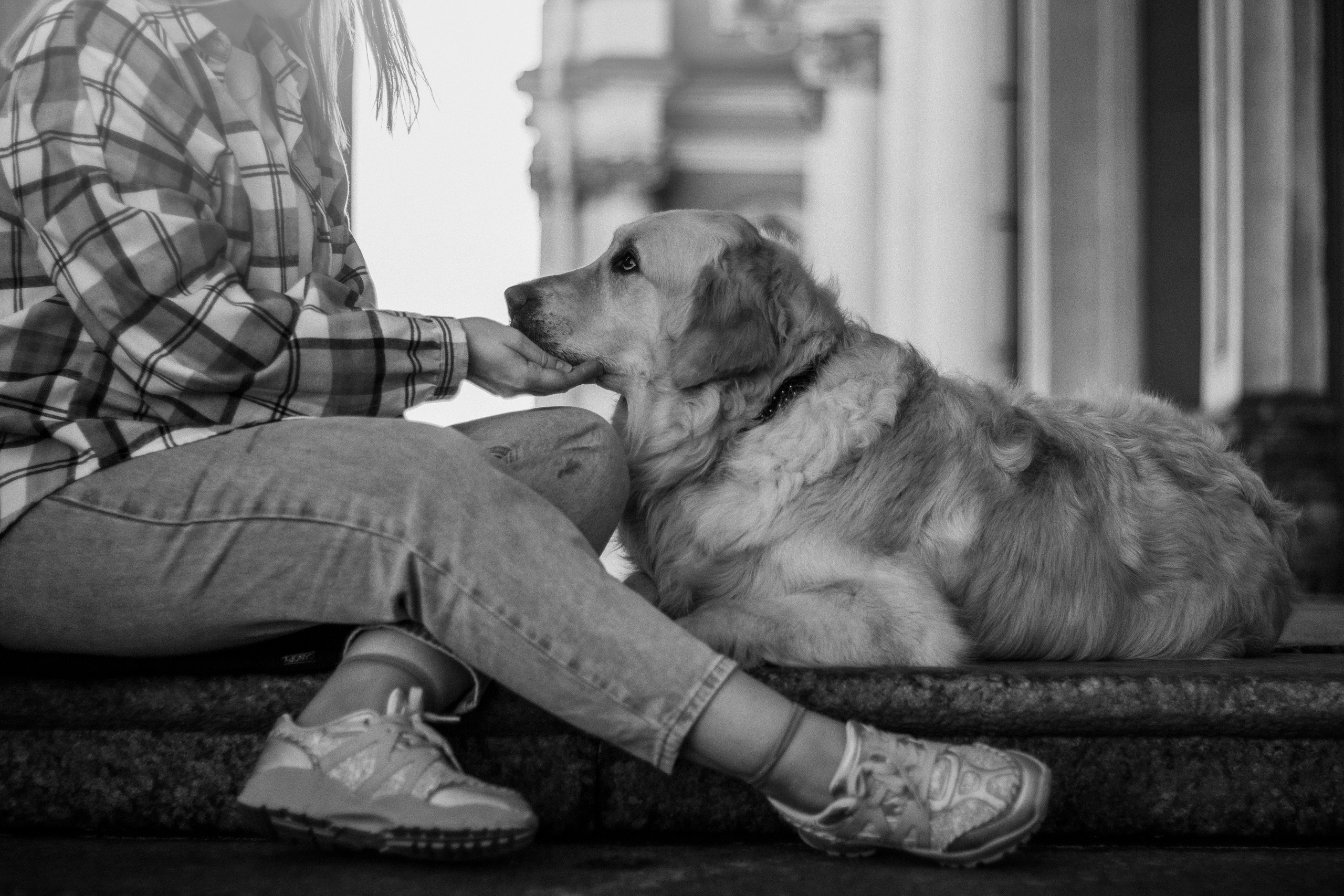 Настя и Марси. Фотограф — Анималист | Санкт-Петербург