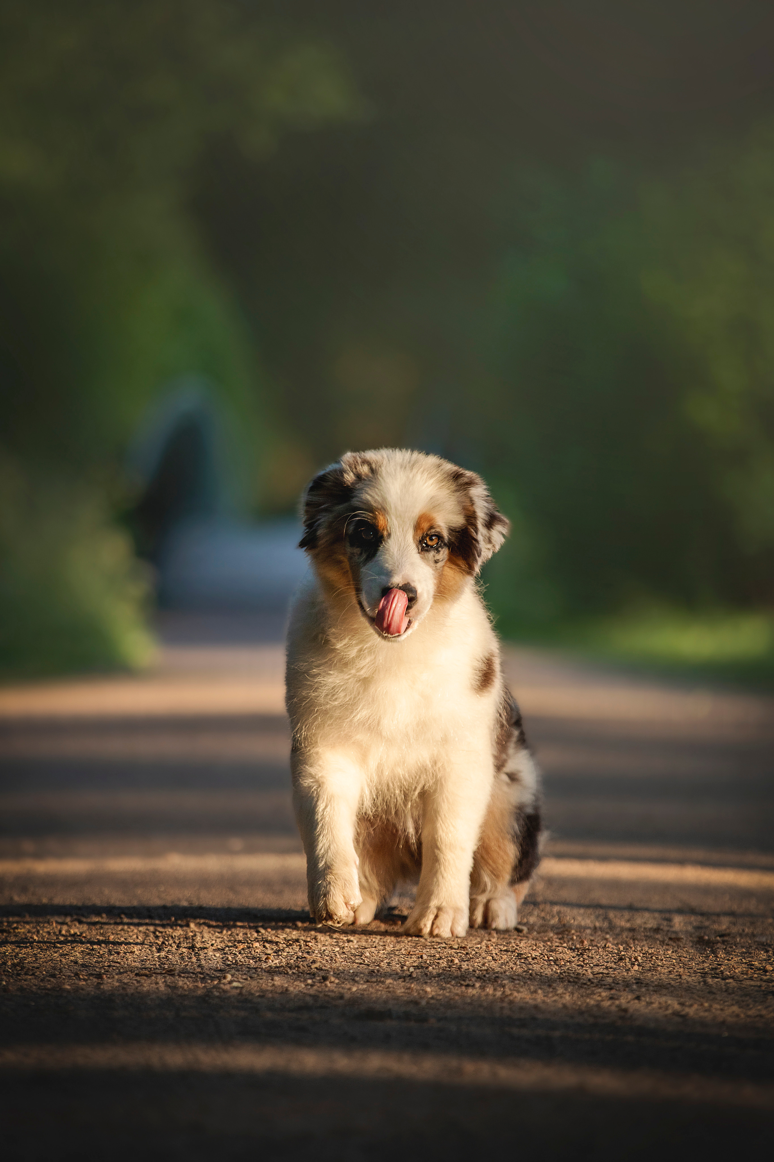 Ирина и Кайса. Фотограф — Анималист | Санкт-Петербург