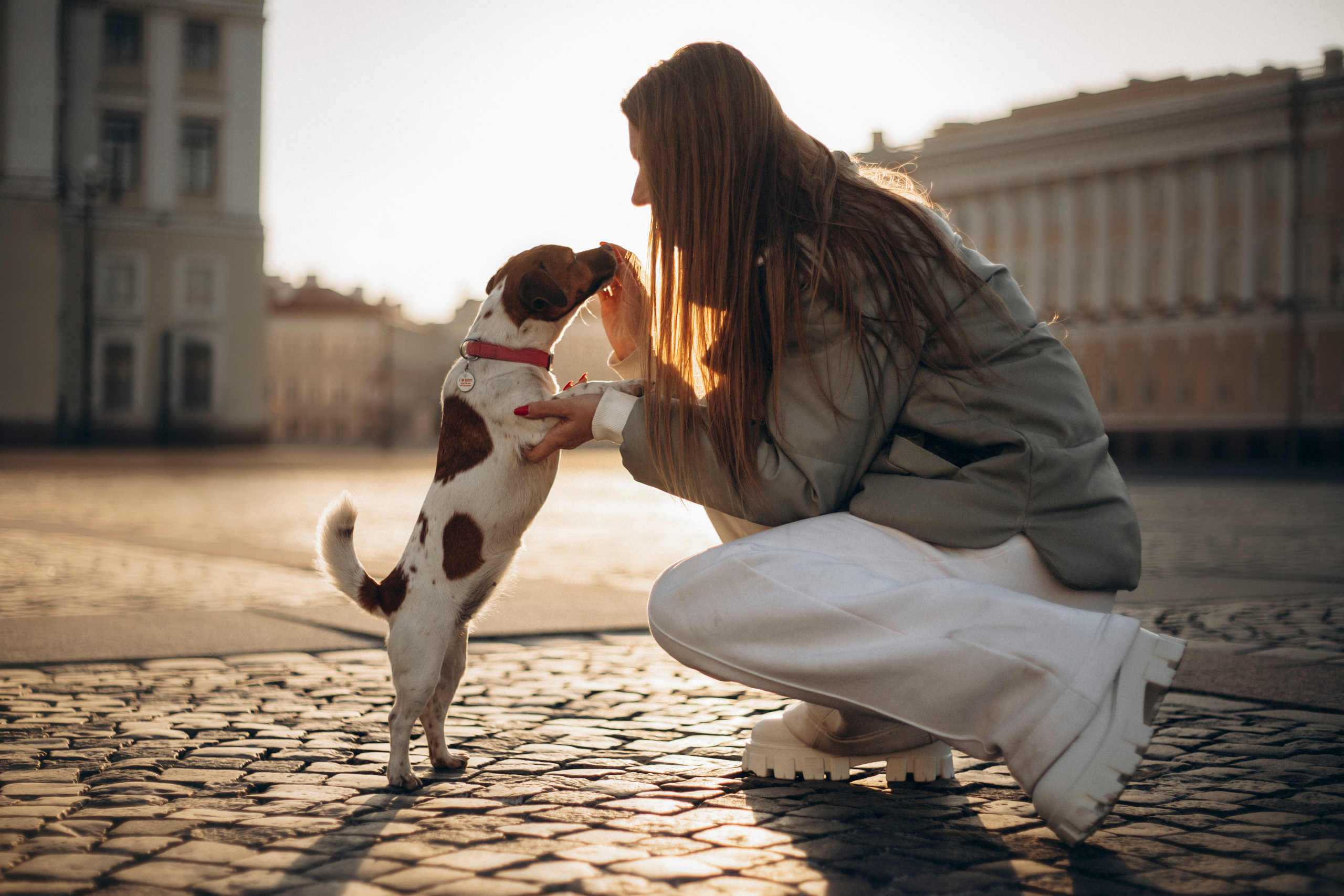Лиза и Грета. Фотограф — Анималист | Санкт-Петербург