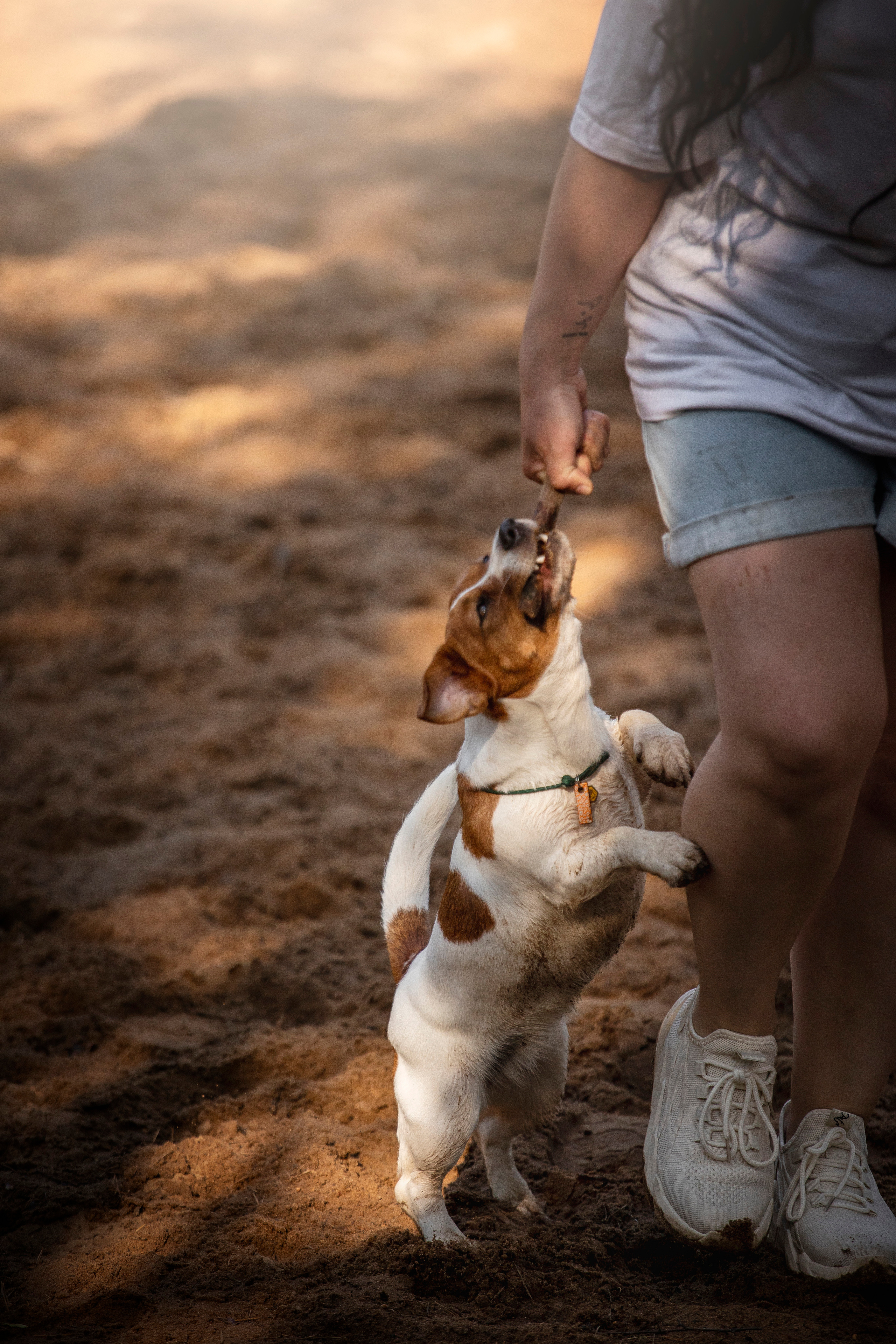 Наташа и Мерси. Фотограф — Анималист | Санкт-Петербург