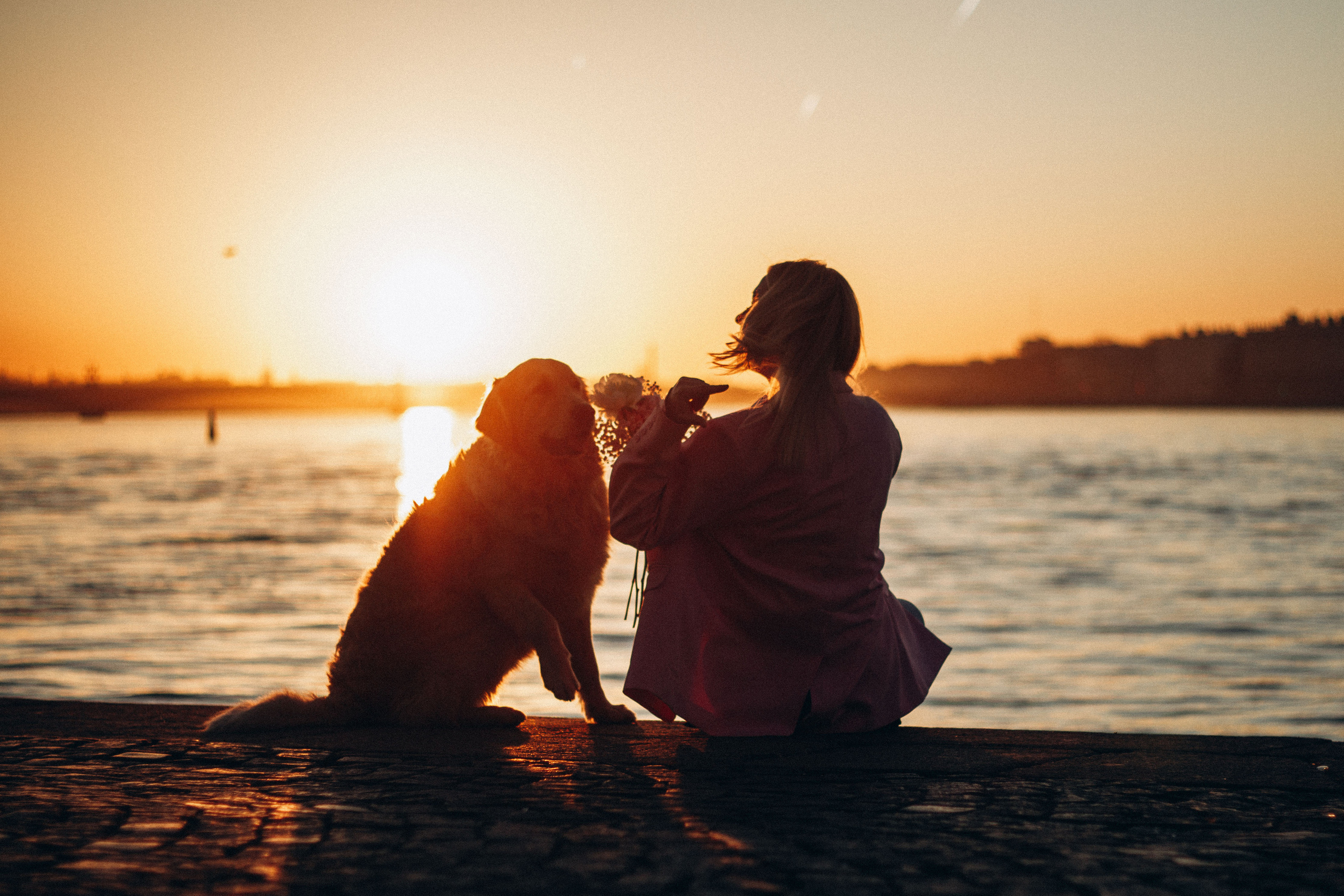 Настя и Марси. Фотограф — Анималист | Санкт-Петербург