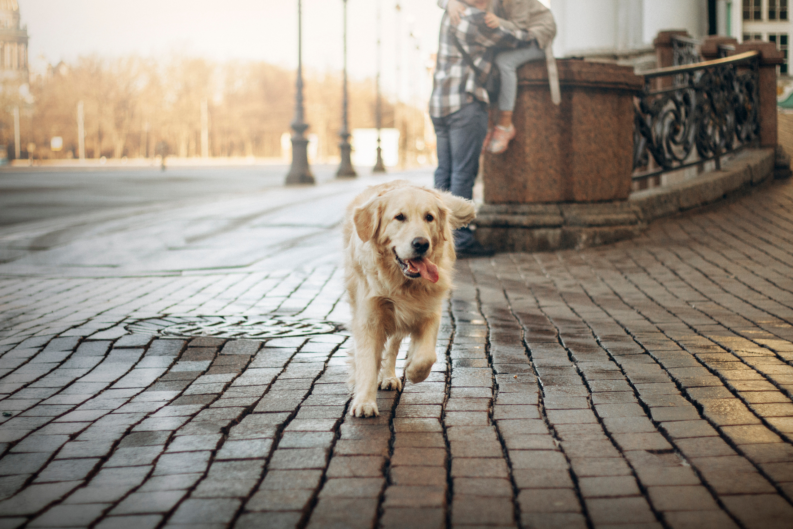 Настя и Марси. Фотограф — Анималист | Санкт-Петербург