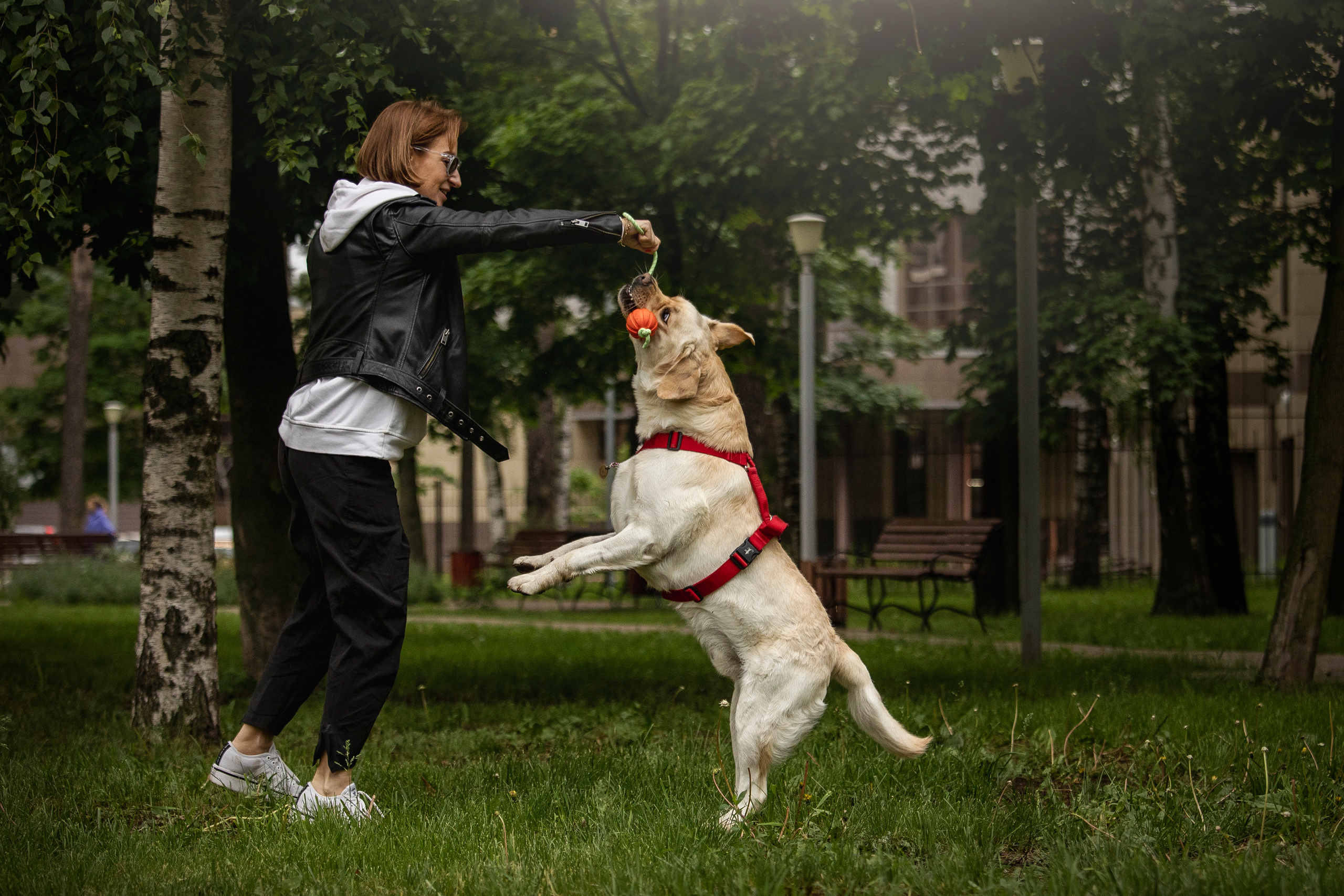 Наталья и Лорд. Фотограф — Анималист | Санкт-Петербург
