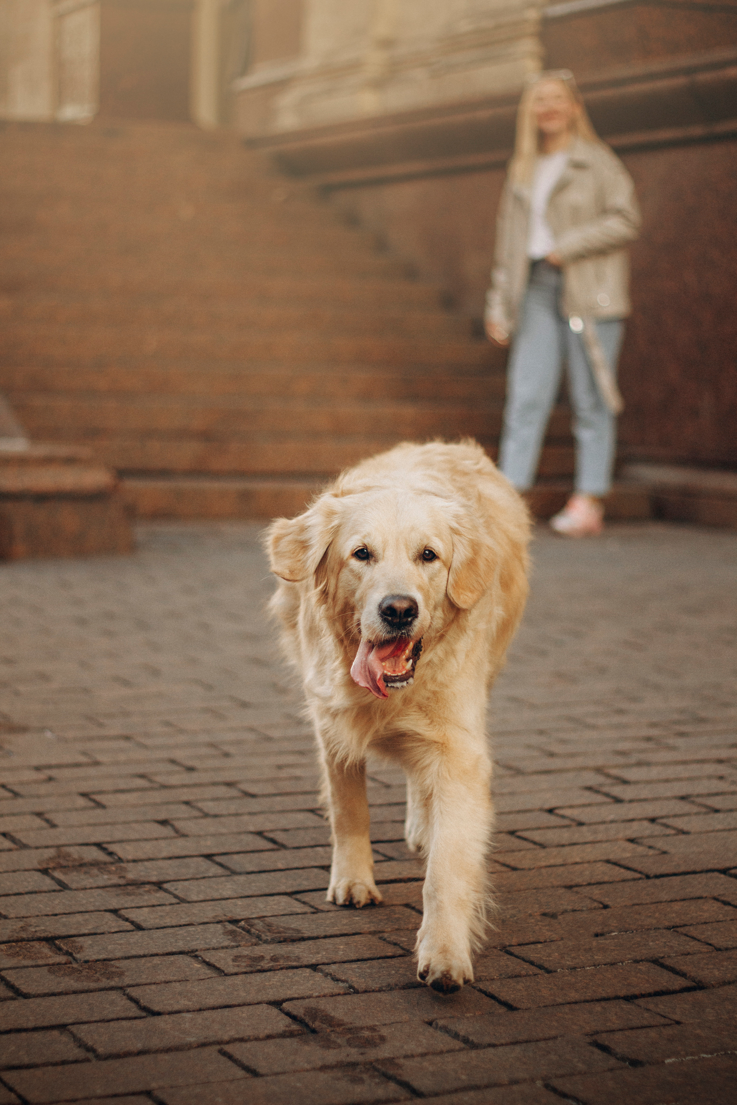 Настя и Марси. Фотограф — Анималист | Санкт-Петербург