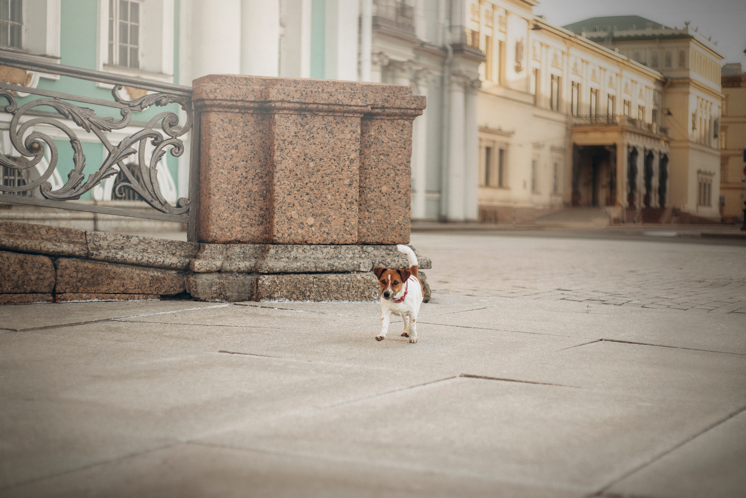 Лиза и Грета. Фотограф — Анималист | Санкт-Петербург