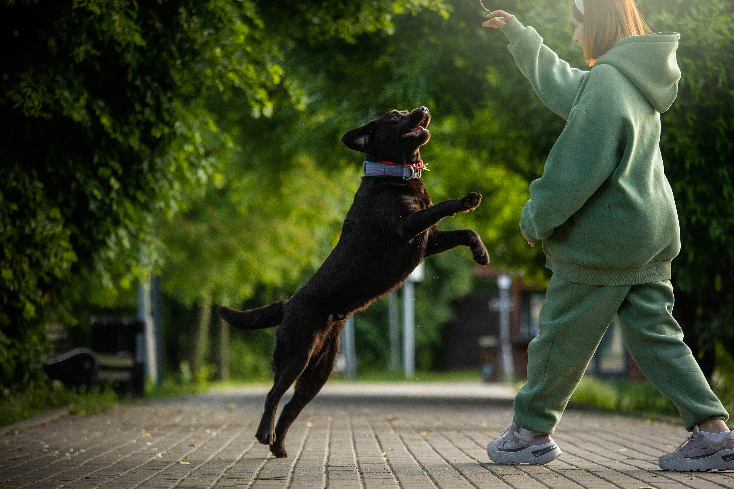 Арина и Сэмми. Фотограф — Анималист | Санкт-Петербург