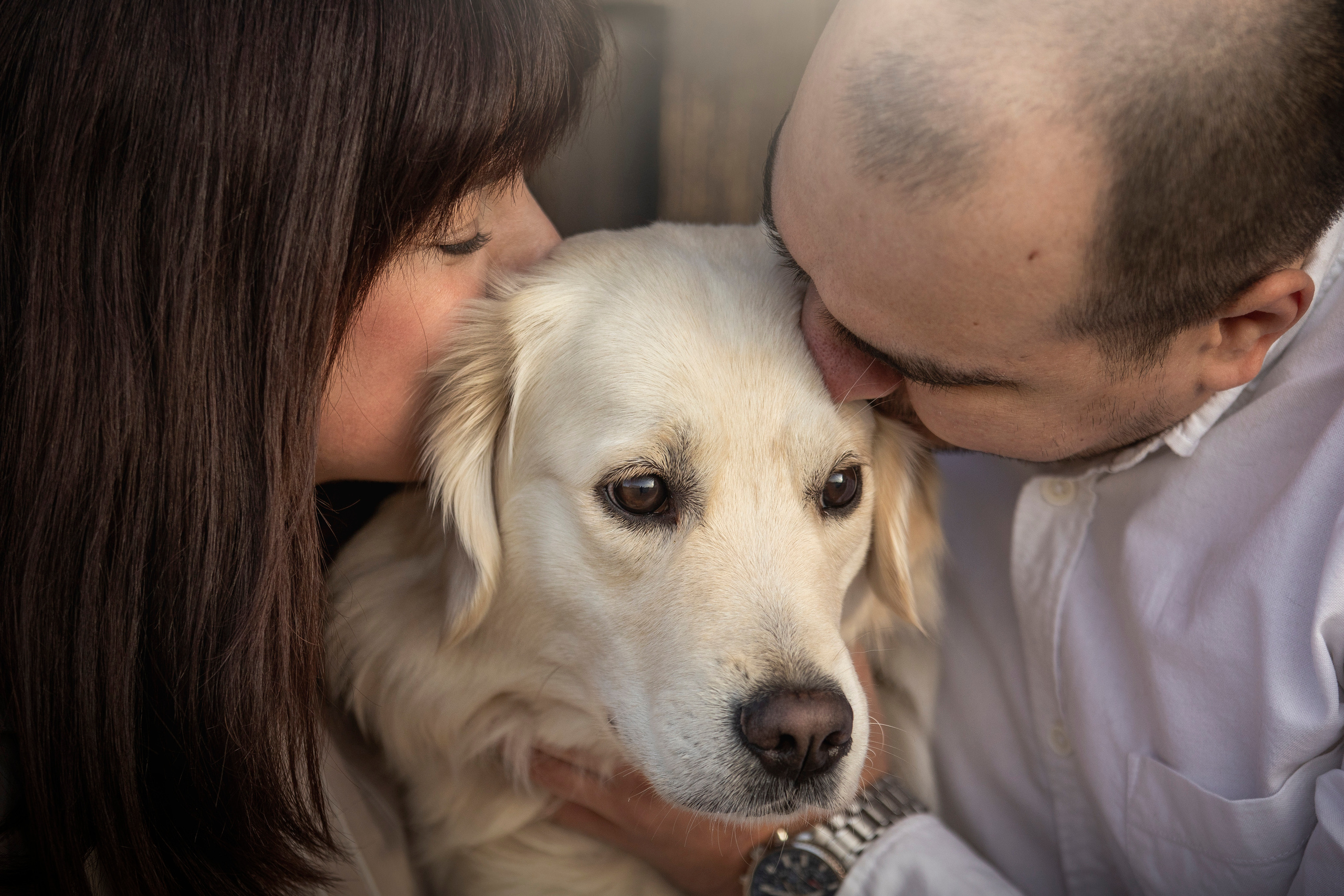 Молли и ее семья. Фотограф — Анималист | Санкт-Петербург