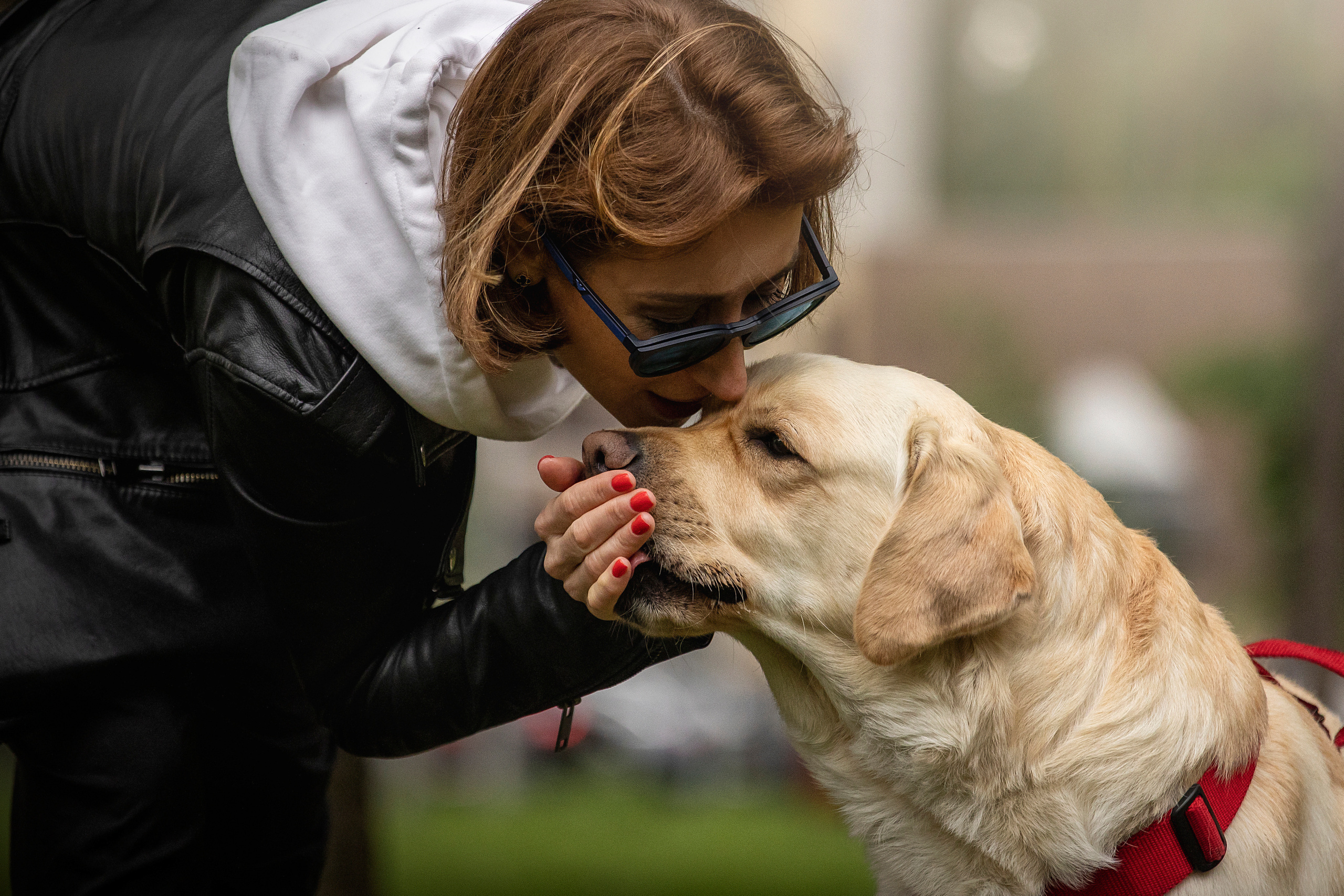Наталья и Лорд. Фотограф — Анималист | Санкт-Петербург