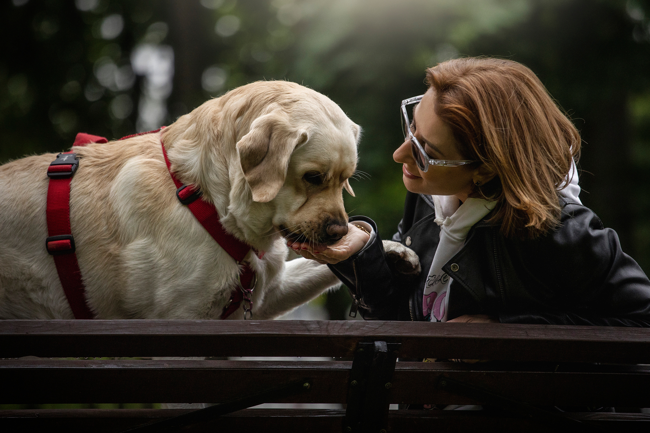 Наталья и Лорд. Фотограф — Анималист | Санкт-Петербург