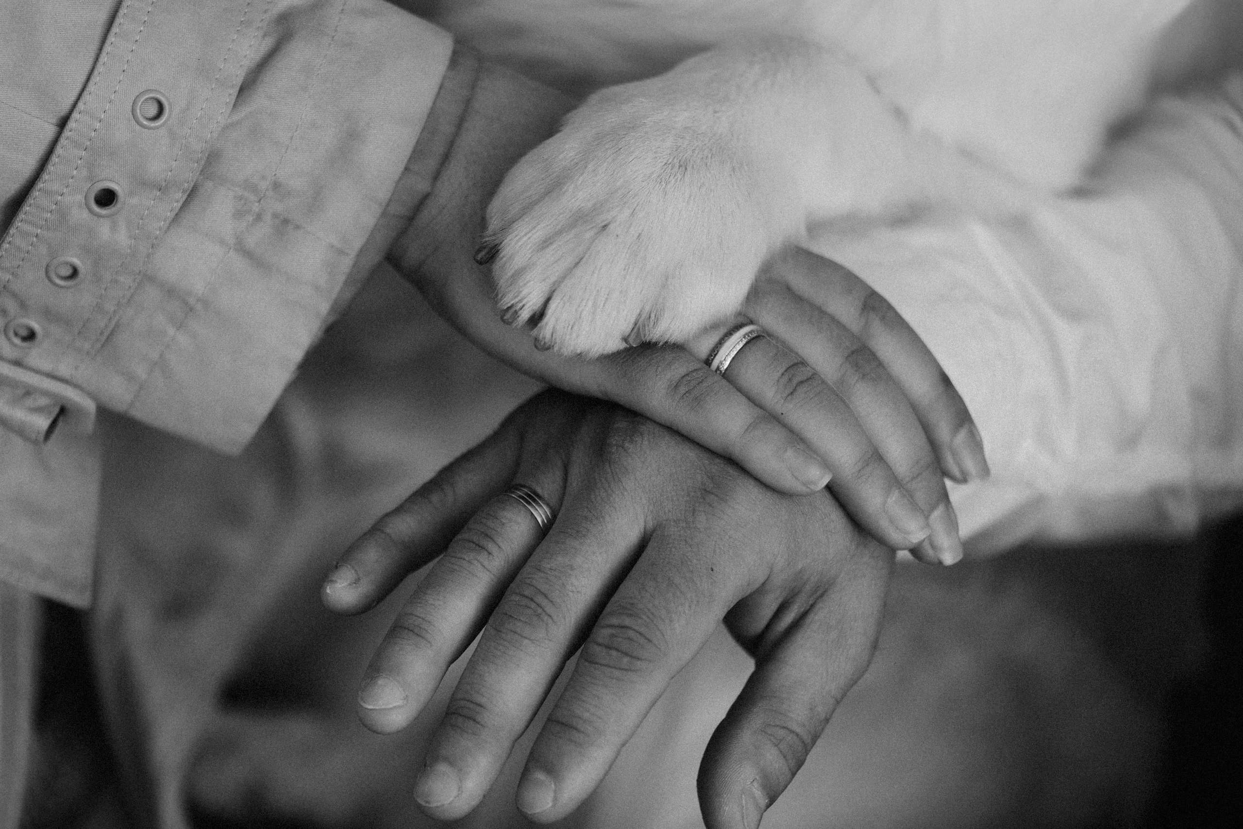 Молли и ее семья. Фотограф — Анималист | Санкт-Петербург