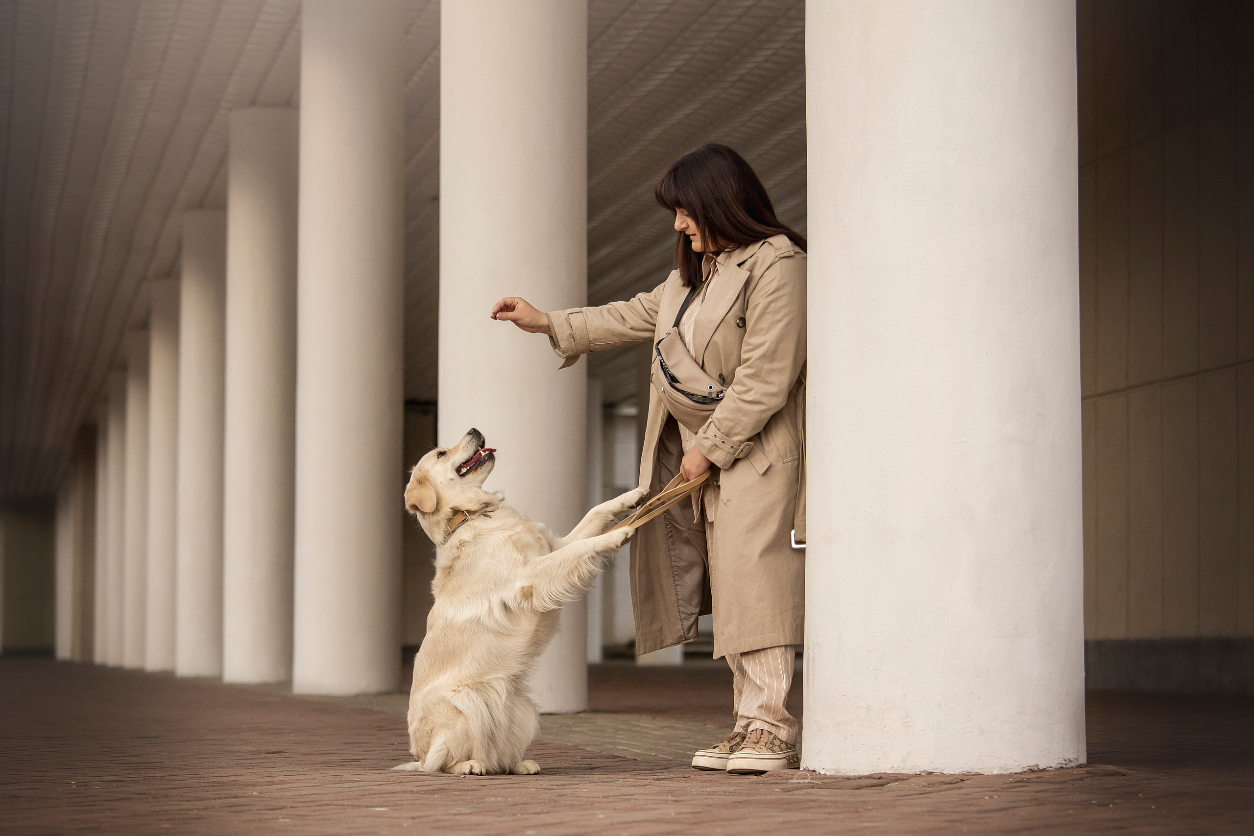 Молли и ее семья. Фотограф — Анималист | Санкт-Петербург