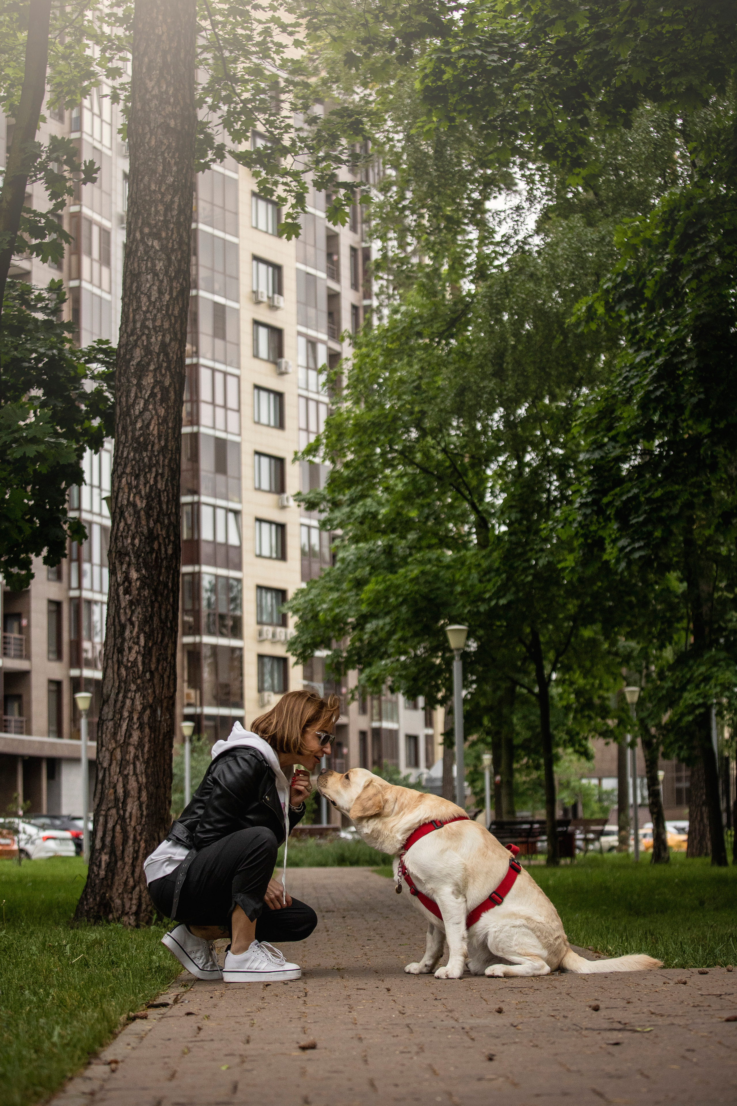 Наталья и Лорд. Фотограф — Анималист | Санкт-Петербург