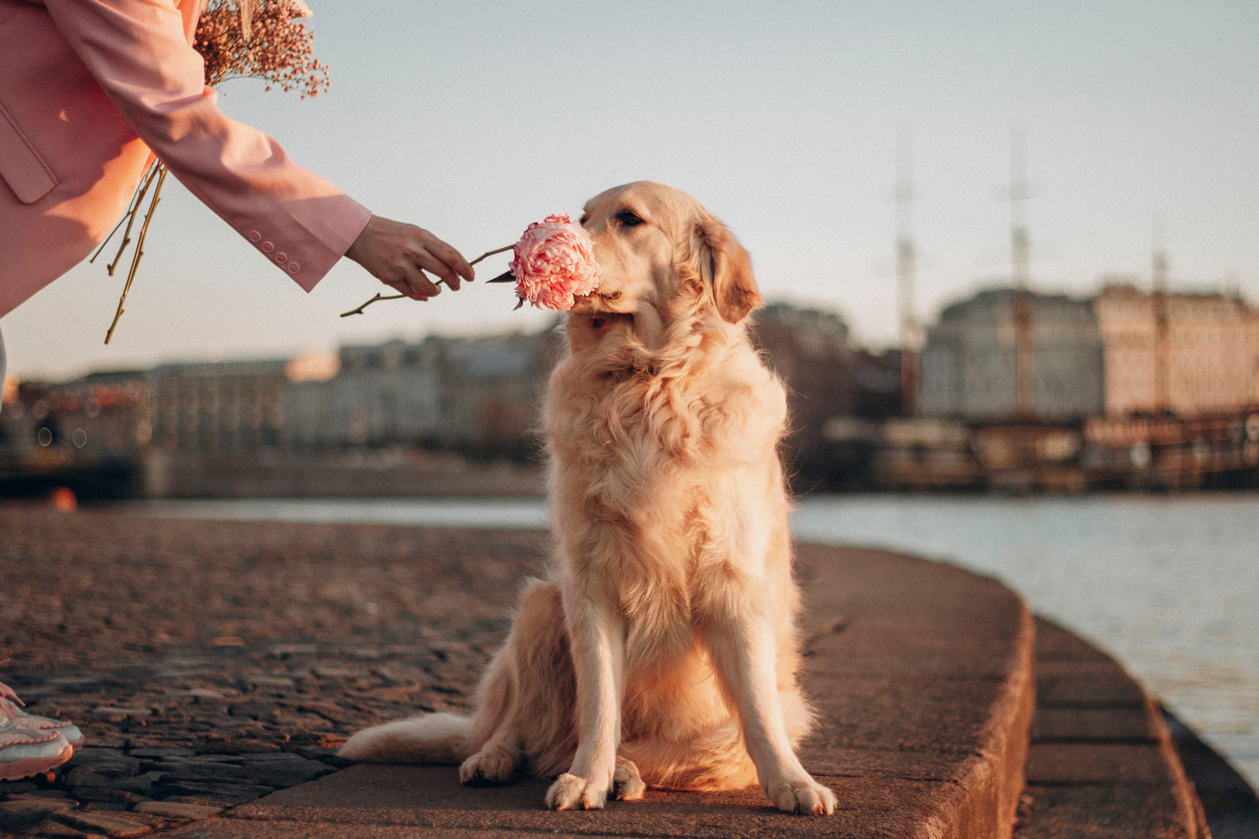 Настя и Марси. Фотограф — Анималист | Санкт-Петербург