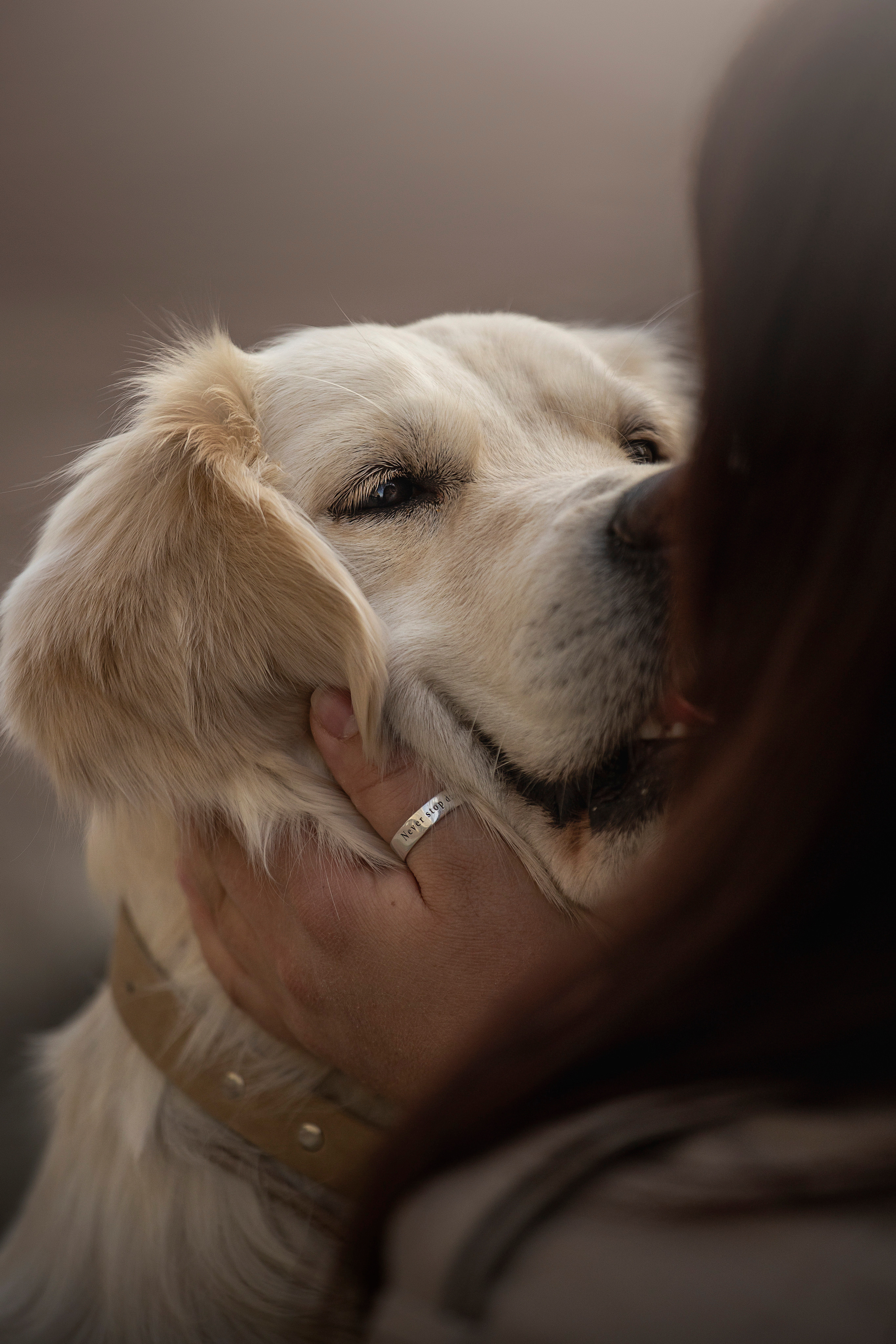 Молли и ее семья. Фотограф — Анималист | Санкт-Петербург