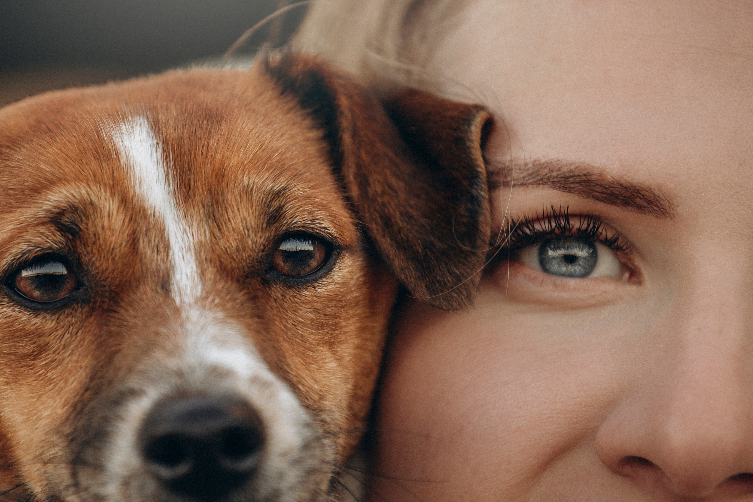 Лиза и Грета. Фотограф — Анималист | Санкт-Петербург