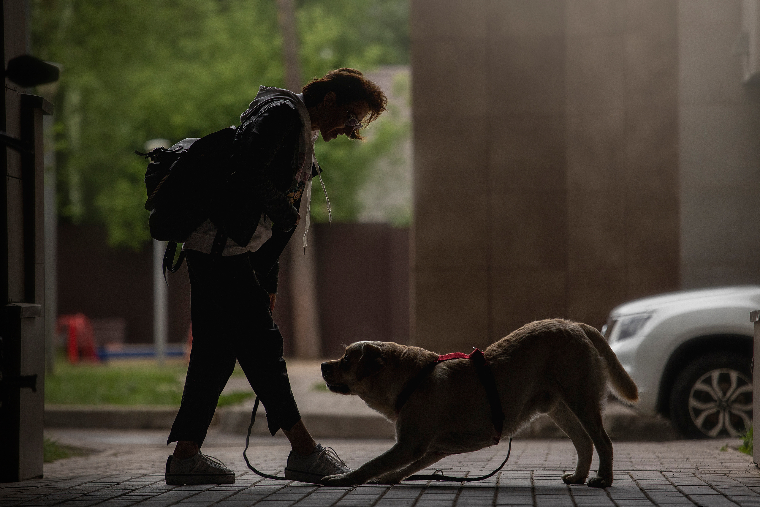 Наталья и Лорд. Фотограф — Анималист | Санкт-Петербург