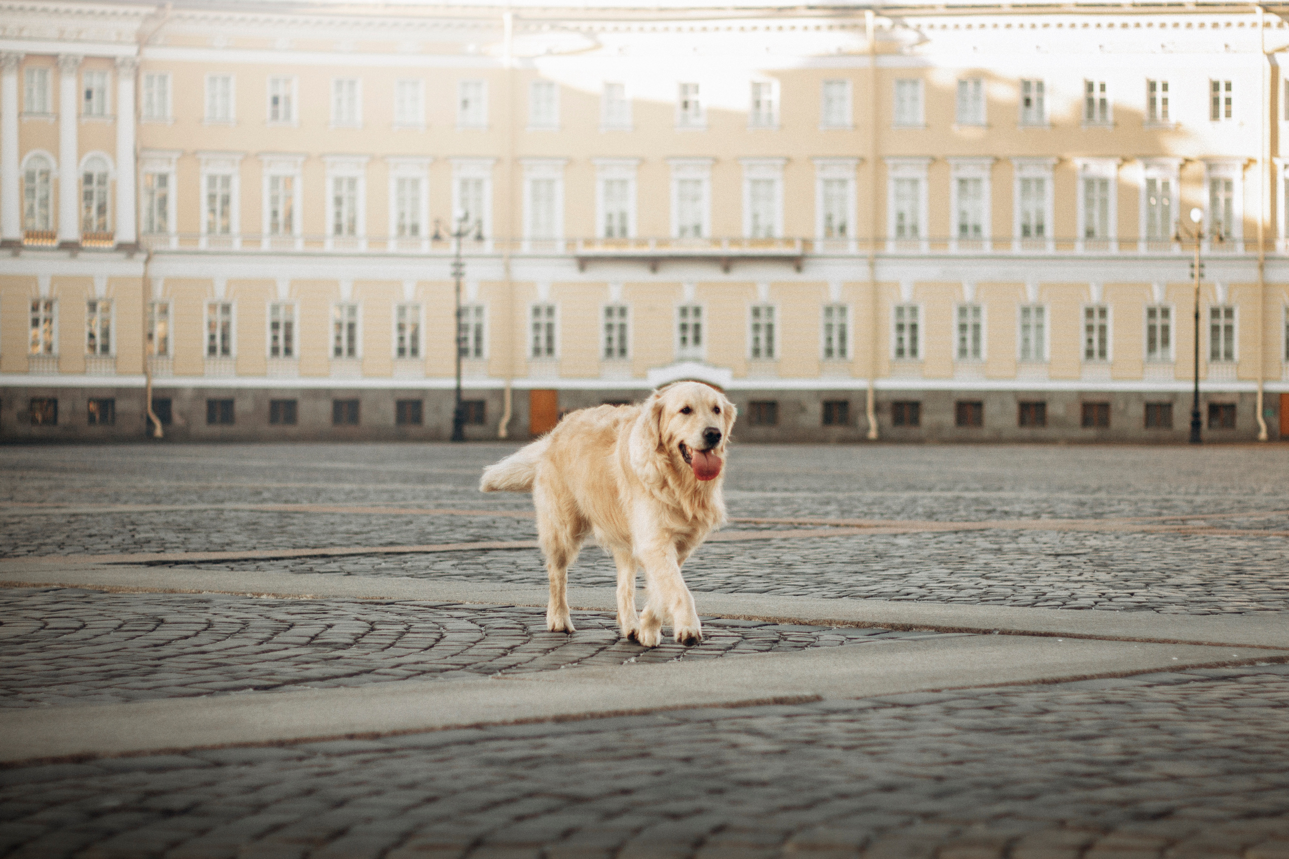 Настя и Марси. Фотограф — Анималист | Санкт-Петербург