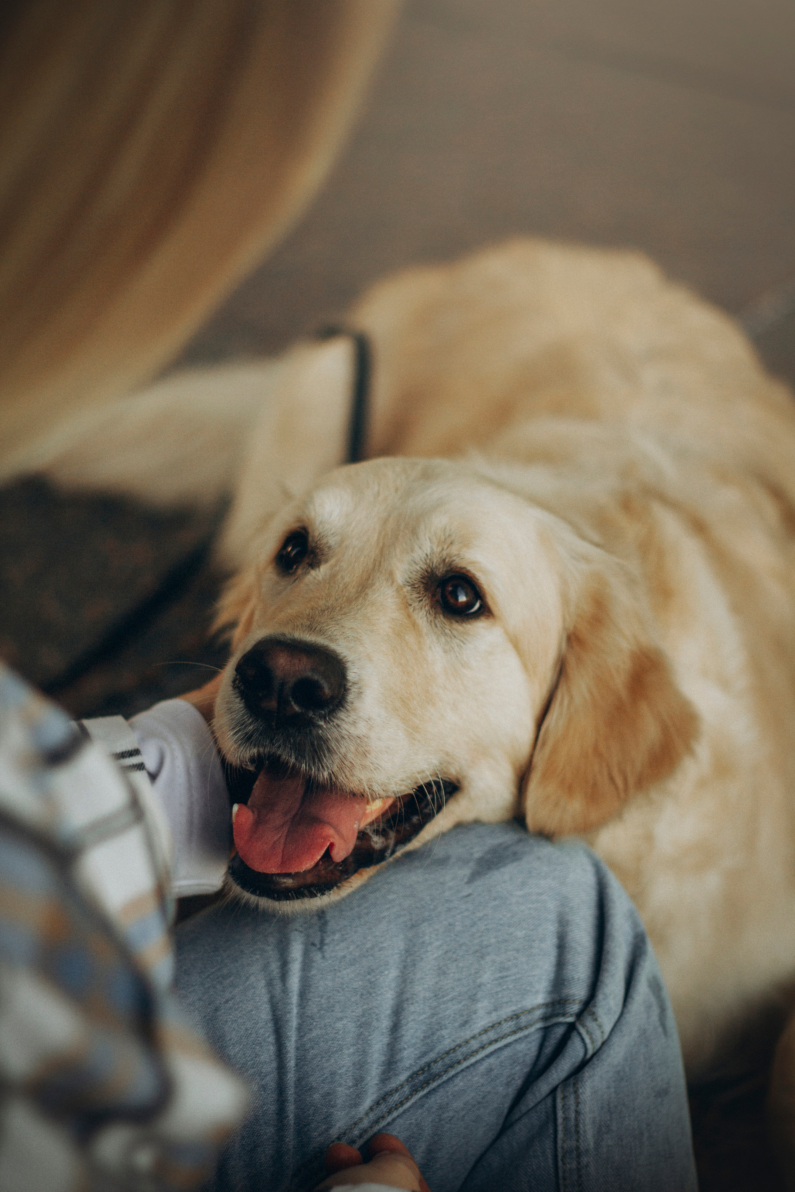 Настя и Марси. Фотограф — Анималист | Санкт-Петербург