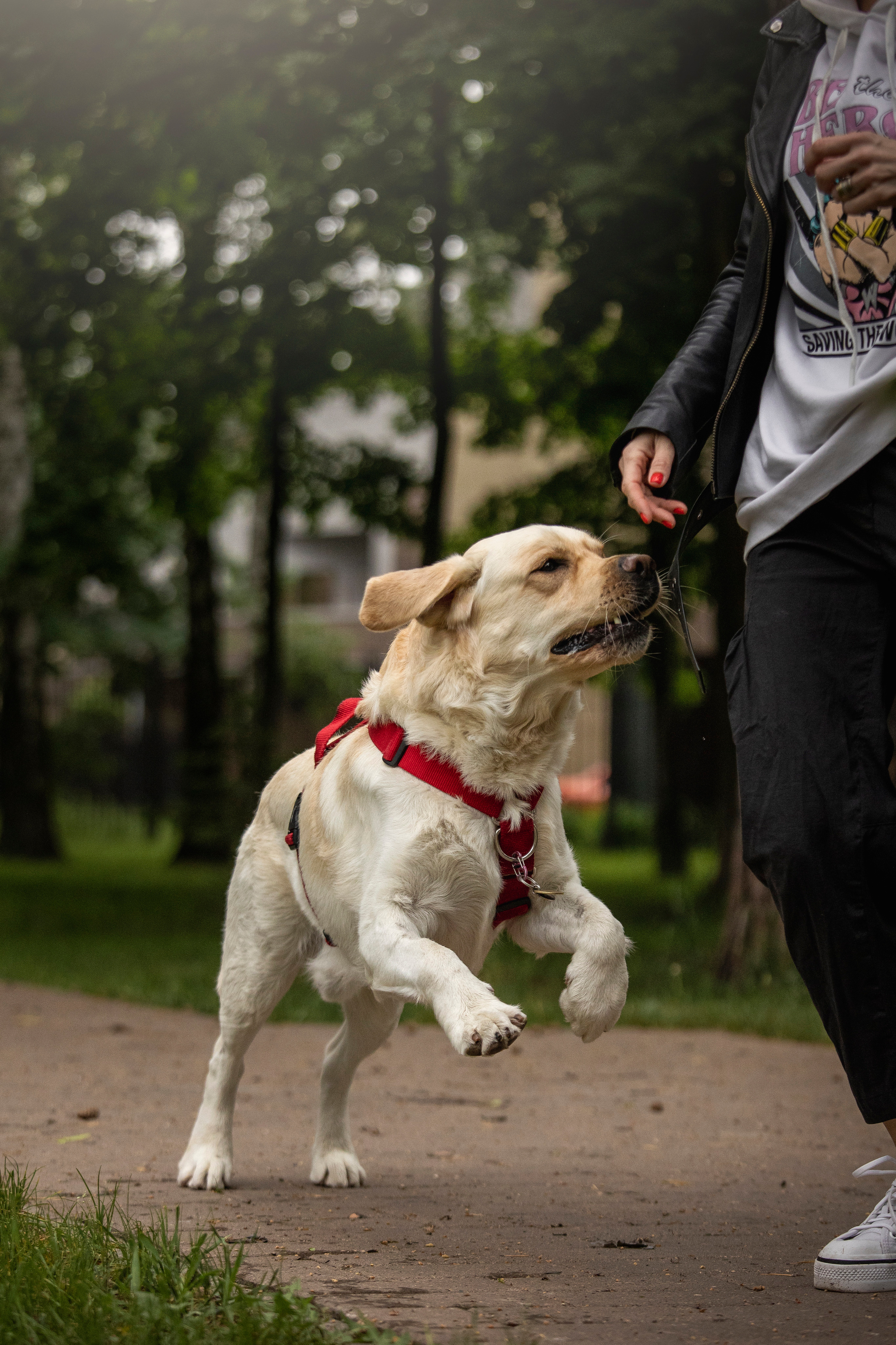 Наталья и Лорд. Фотограф — Анималист | Санкт-Петербург