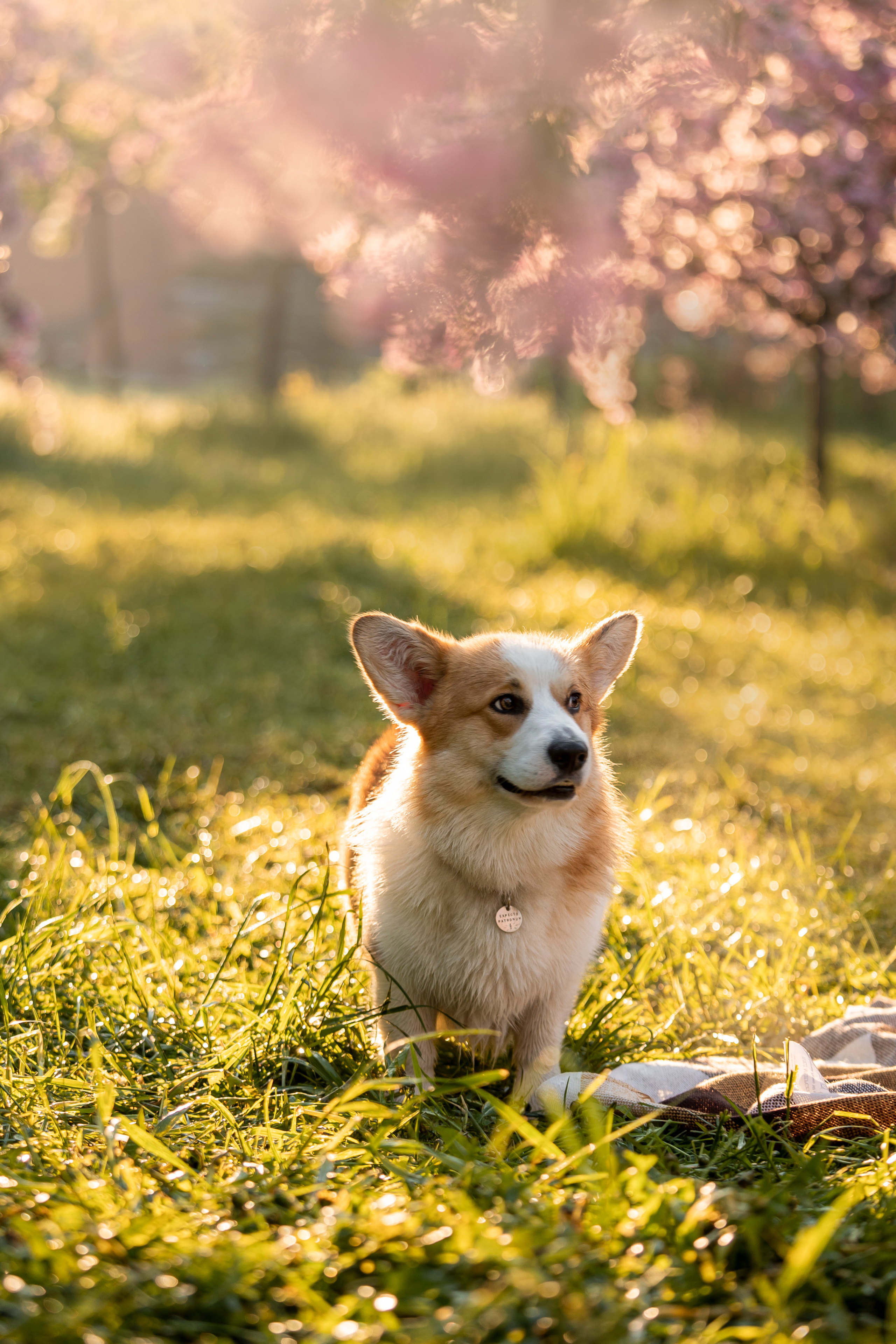 Юля и Лео. Фотограф — Анималист | Санкт-Петербург