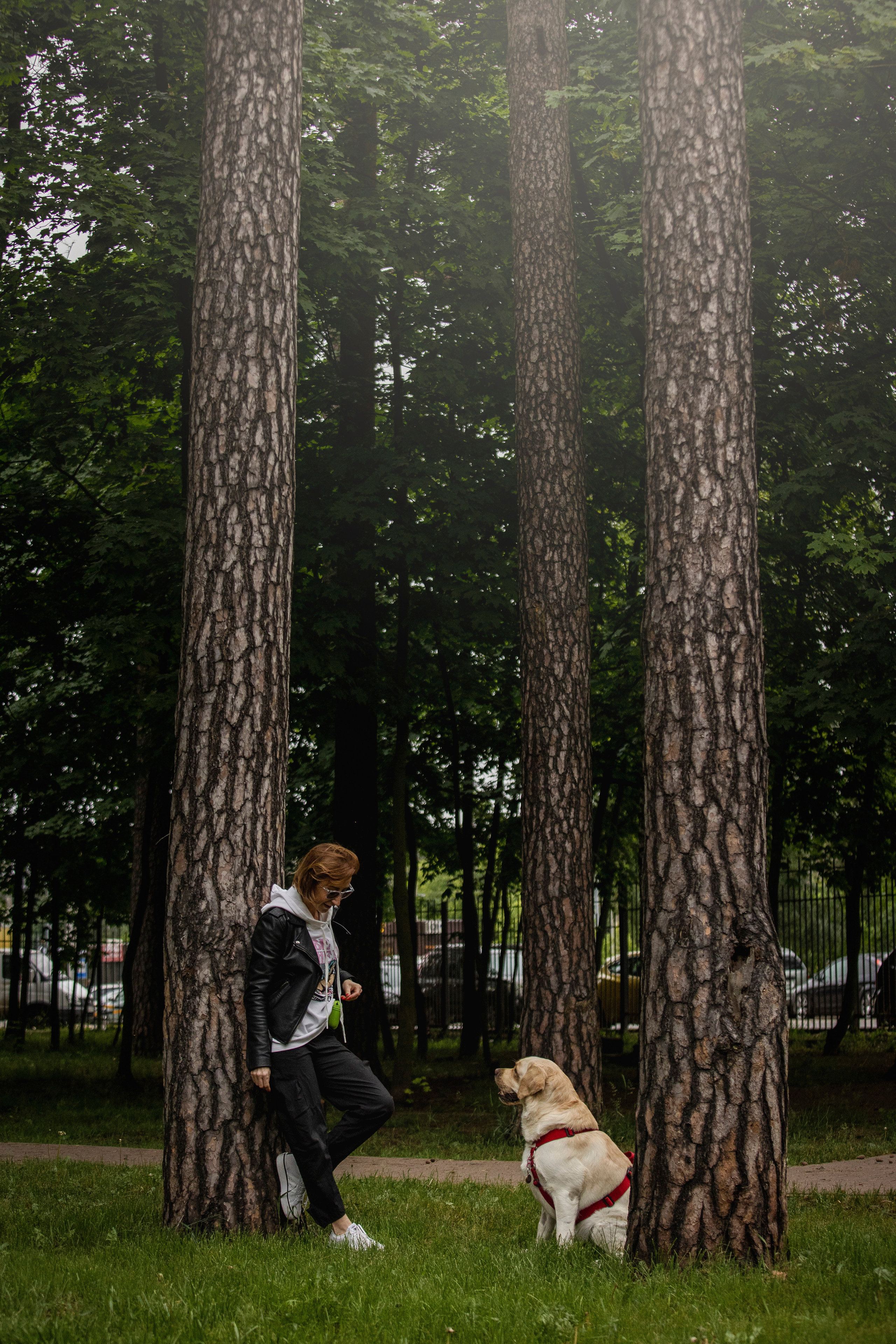 Наталья и Лорд. Фотограф — Анималист | Санкт-Петербург