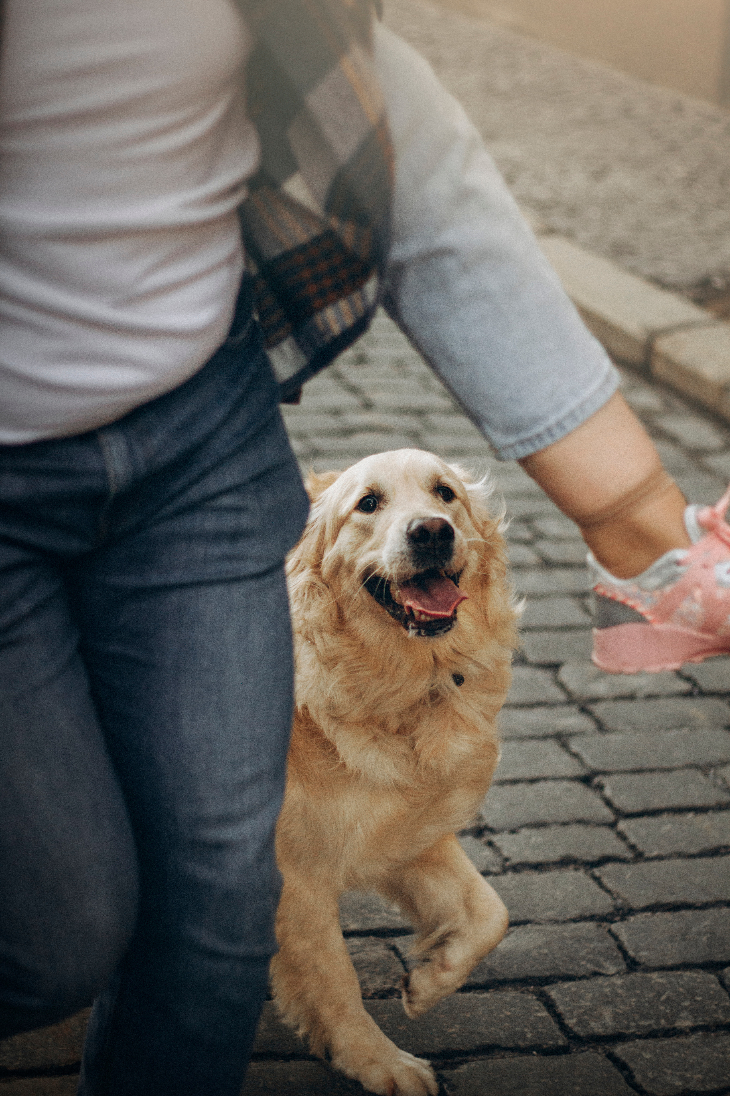 Настя и Марси. Фотограф — Анималист | Санкт-Петербург