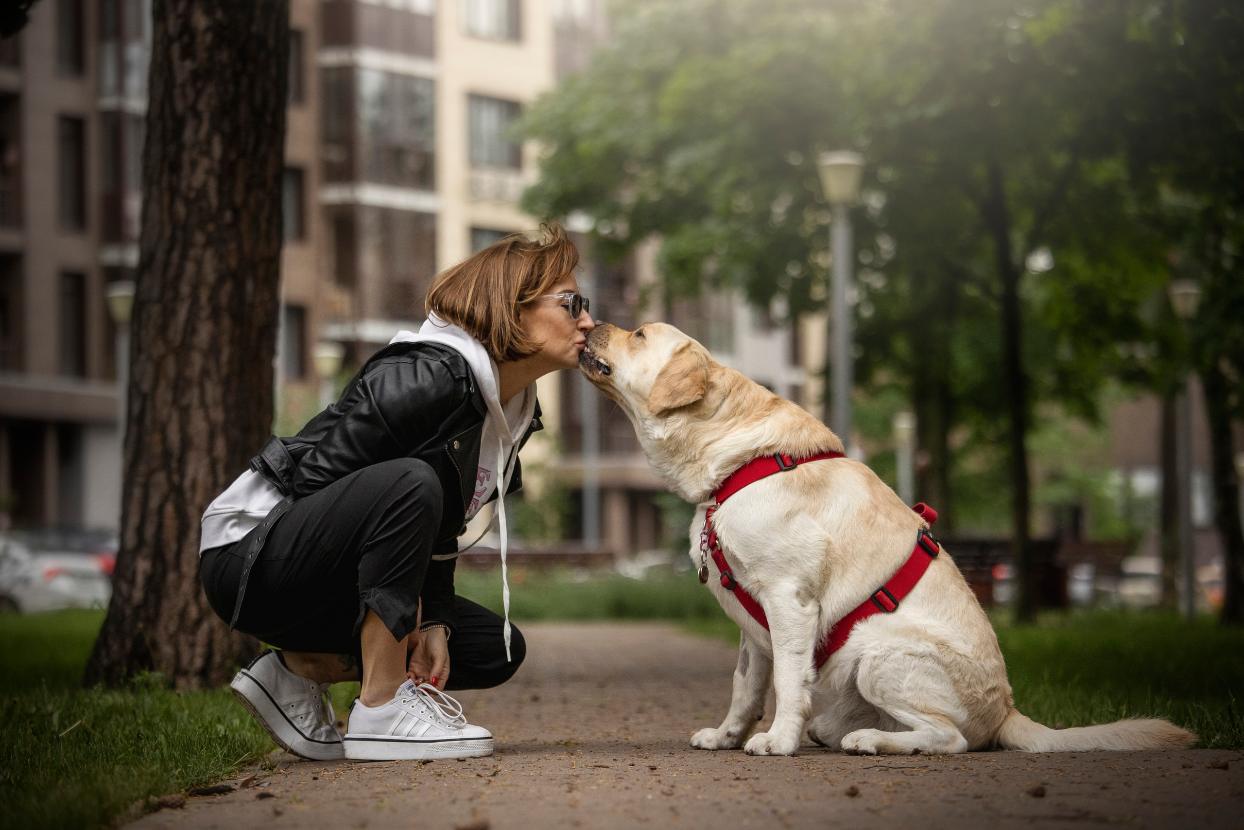 Наталья и Лорд. Фотограф — Анималист | Санкт-Петербург