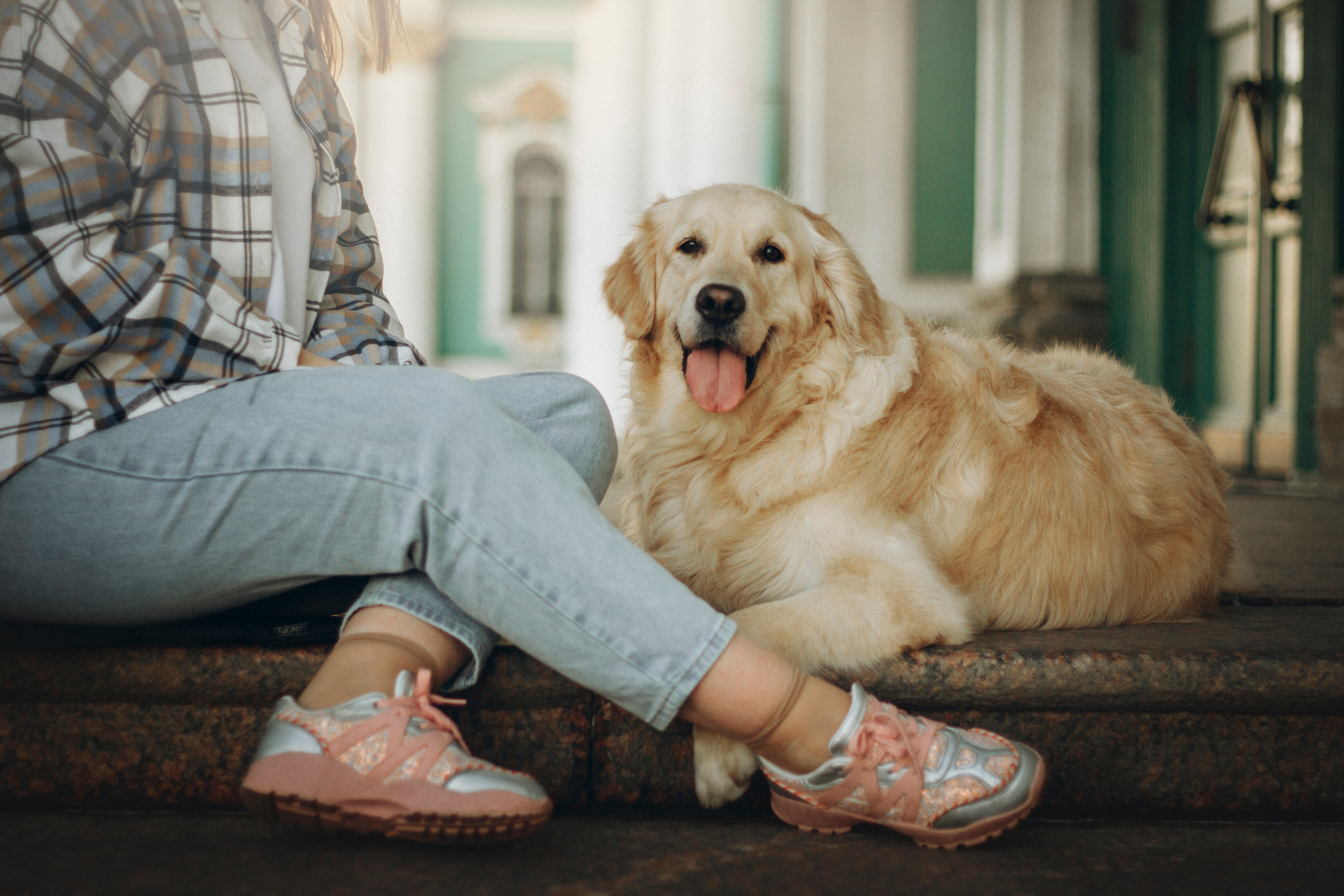 Настя и Марси. Фотограф — Анималист | Санкт-Петербург