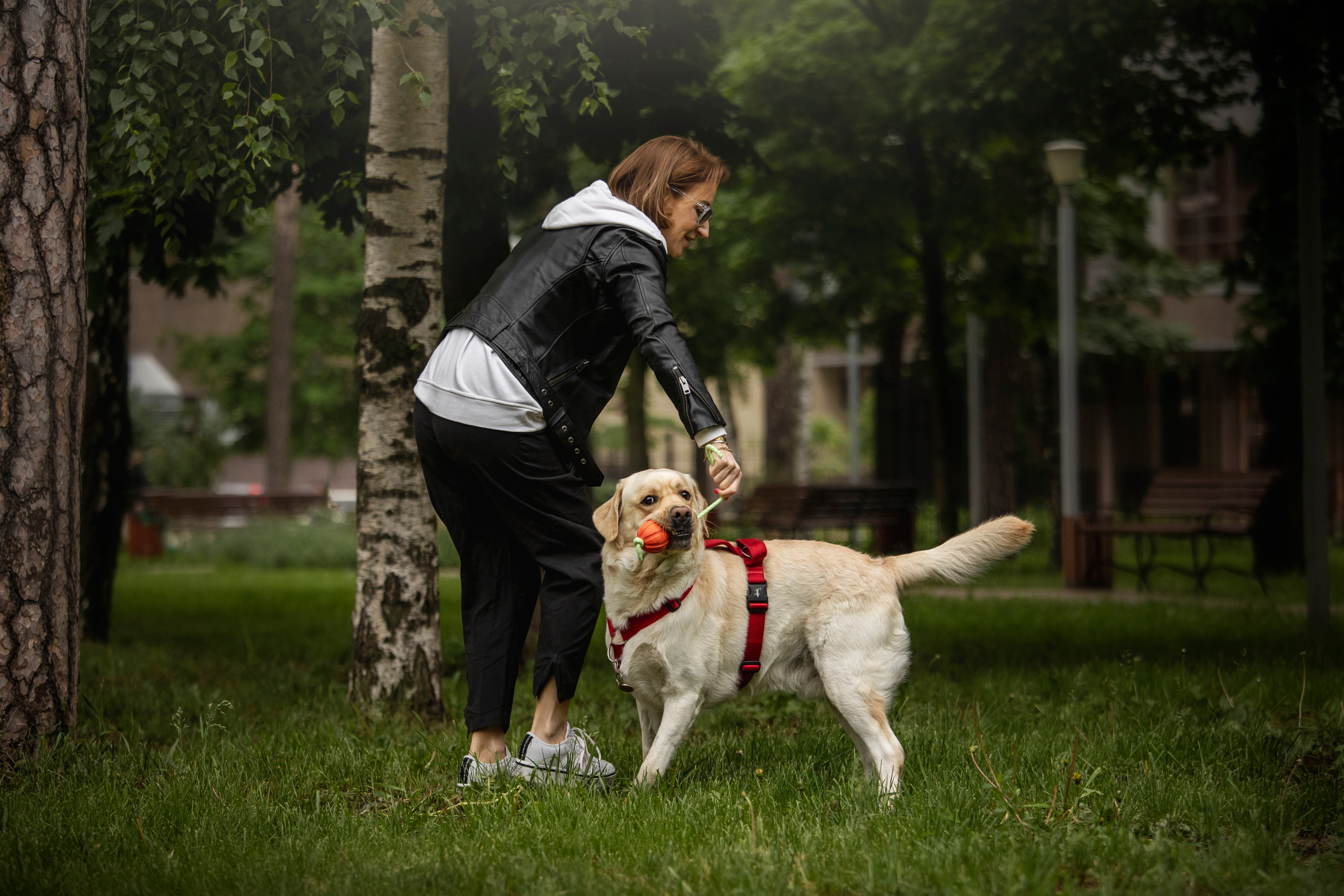 Наталья и Лорд. Фотограф — Анималист | Санкт-Петербург