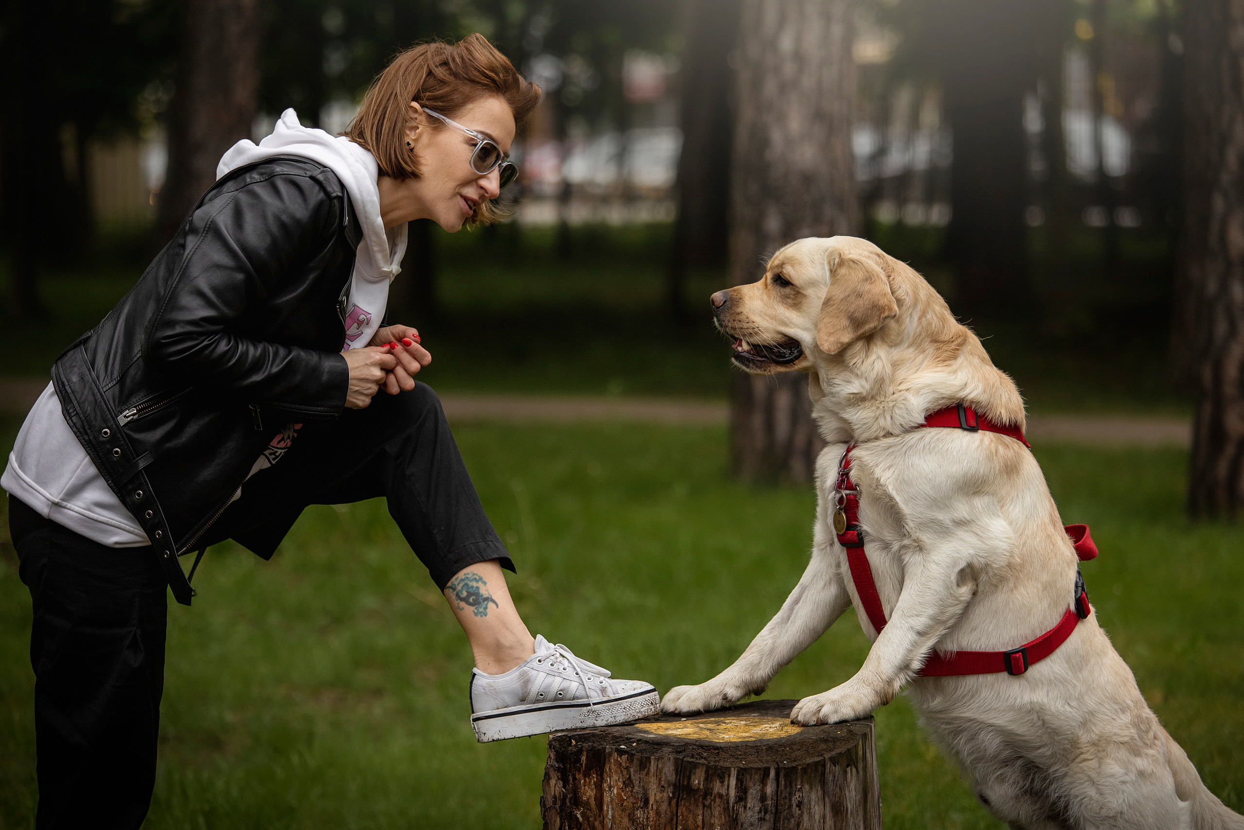 Наталья и Лорд. Фотограф — Анималист | Санкт-Петербург