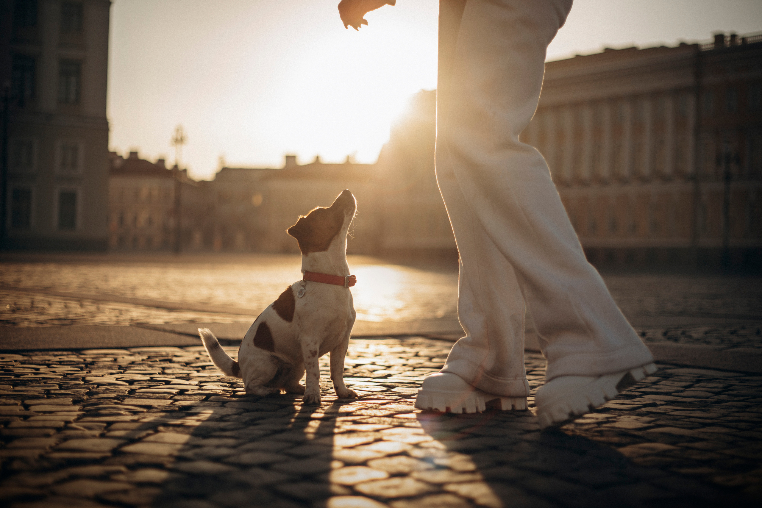 Лиза и Грета. Фотограф — Анималист | Санкт-Петербург
