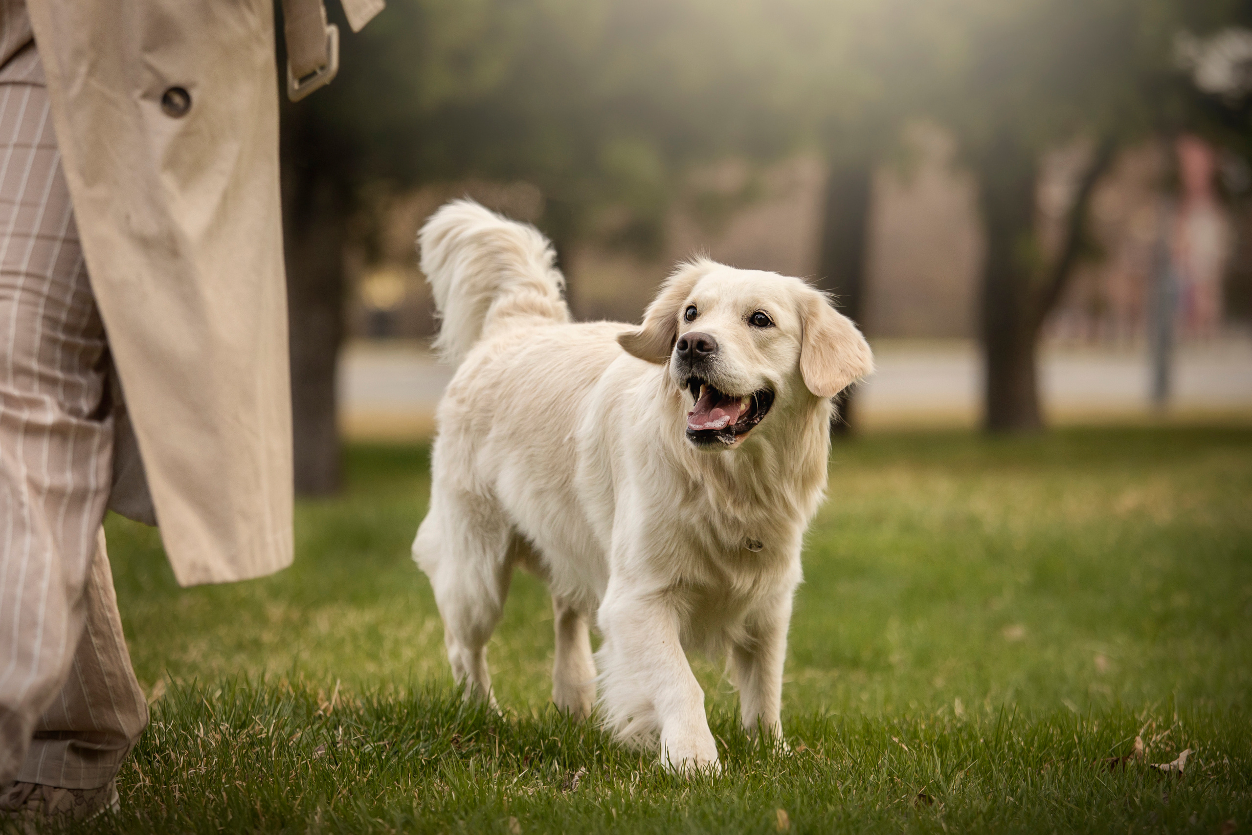 Молли и ее семья. Фотограф — Анималист | Санкт-Петербург