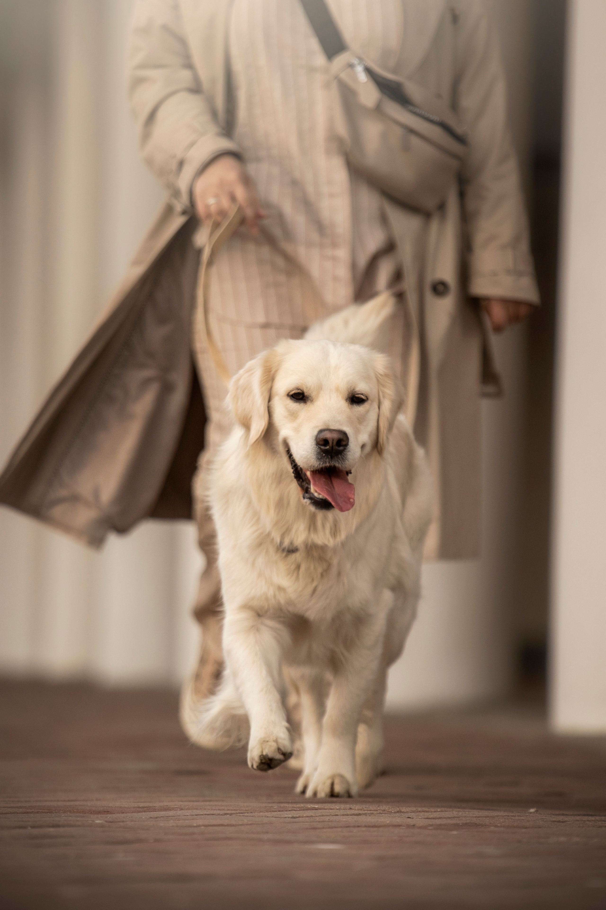 Молли и ее семья. Фотограф — Анималист | Санкт-Петербург