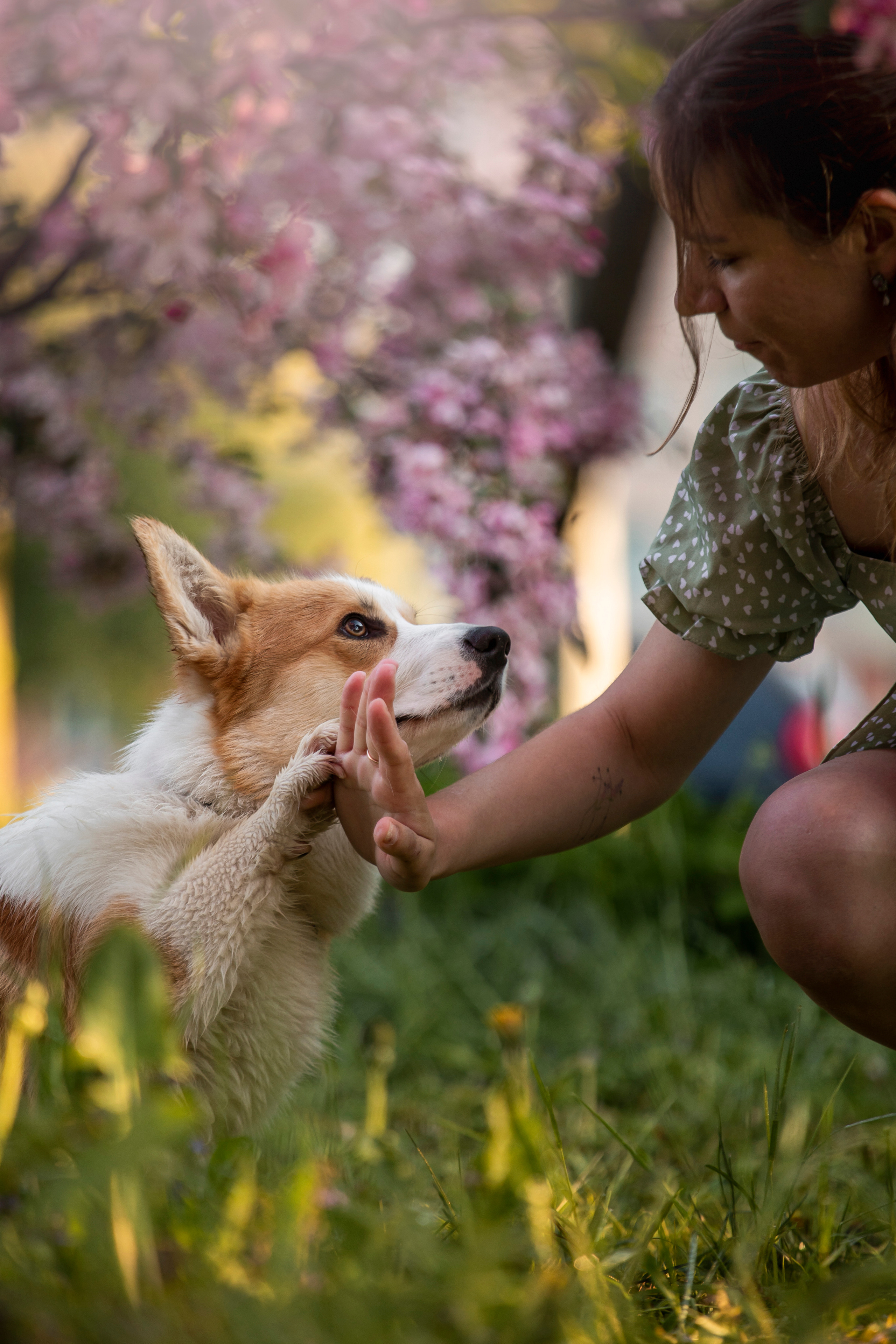 Юля и Лео. Фотограф — Анималист | Санкт-Петербург
