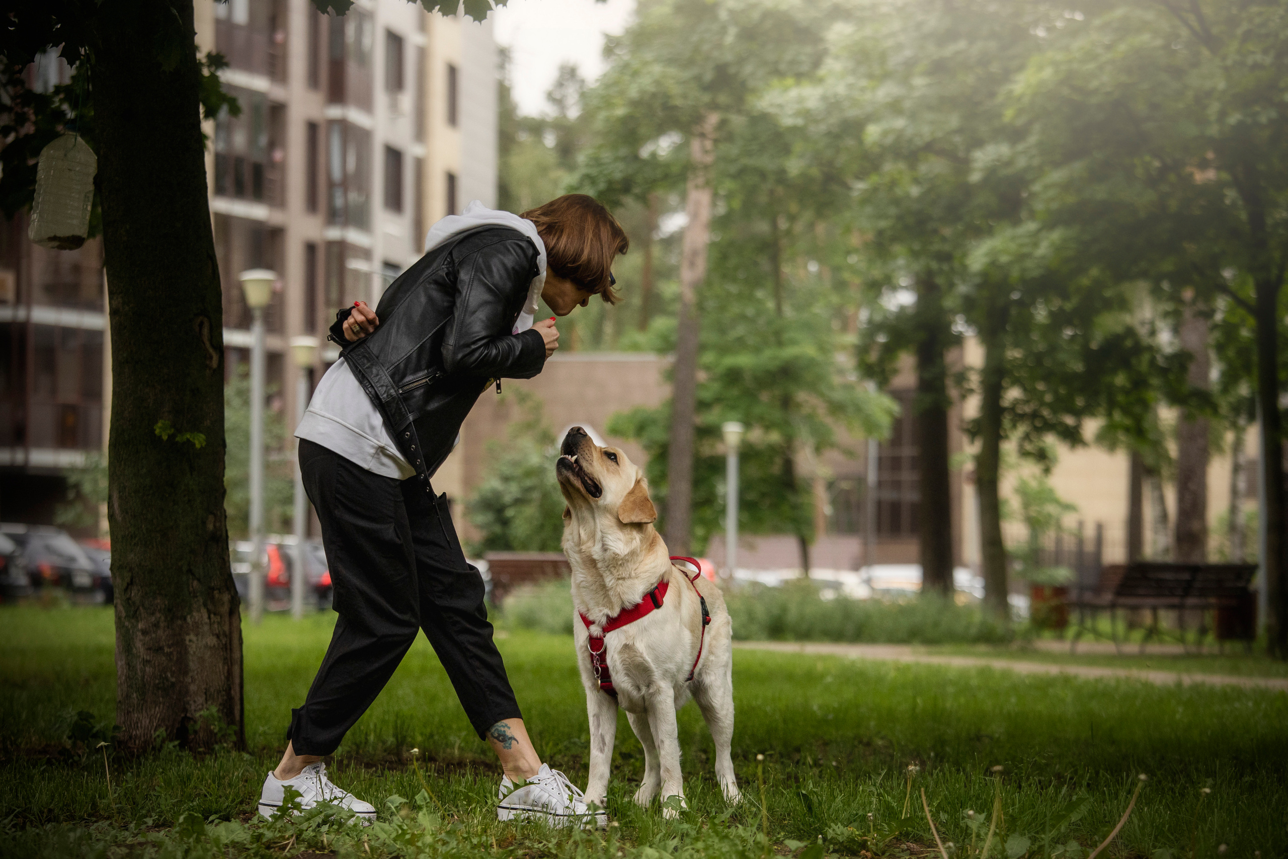 Наталья и Лорд. Фотограф — Анималист | Санкт-Петербург