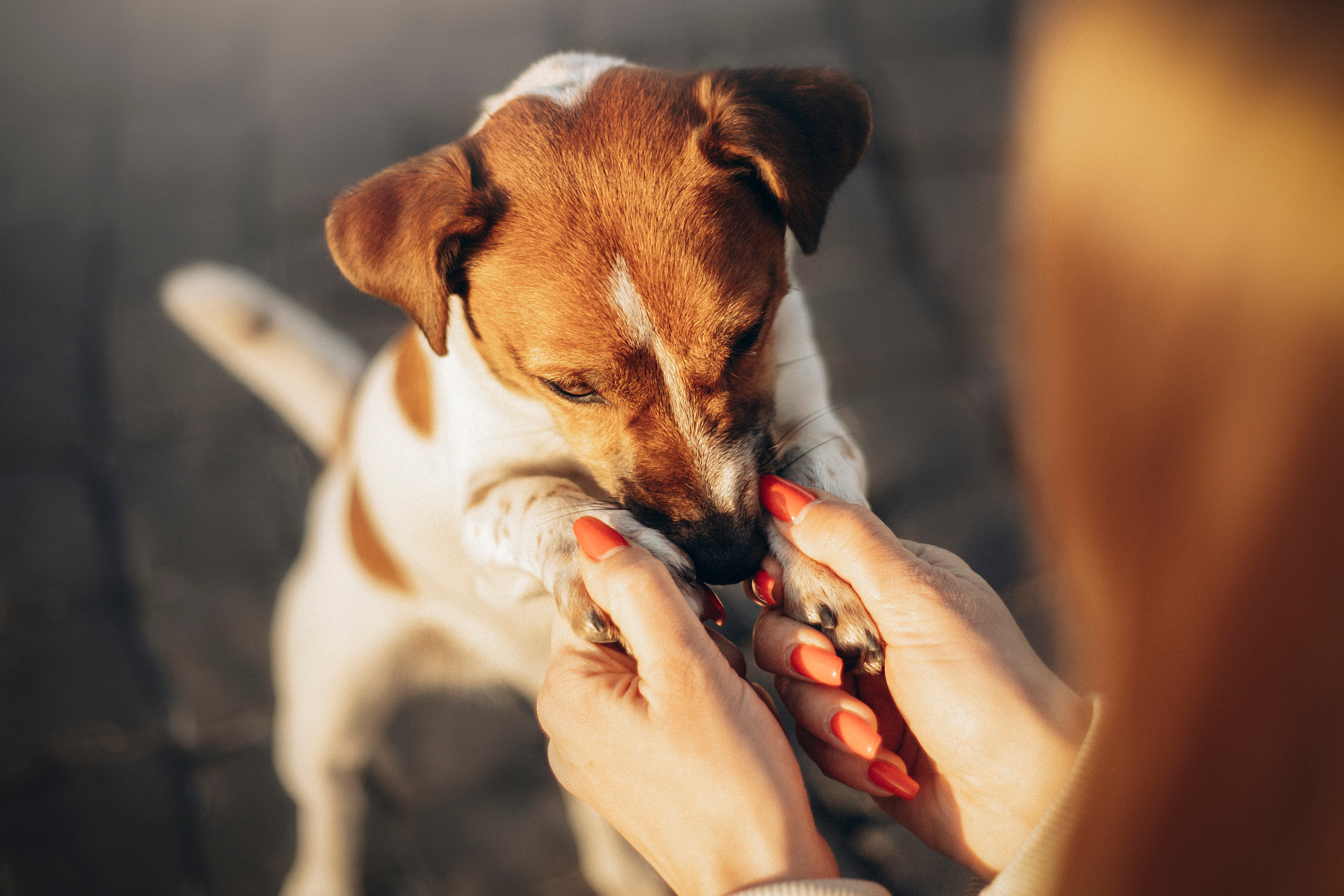 Лиза и Грета. Фотограф — Анималист | Санкт-Петербург