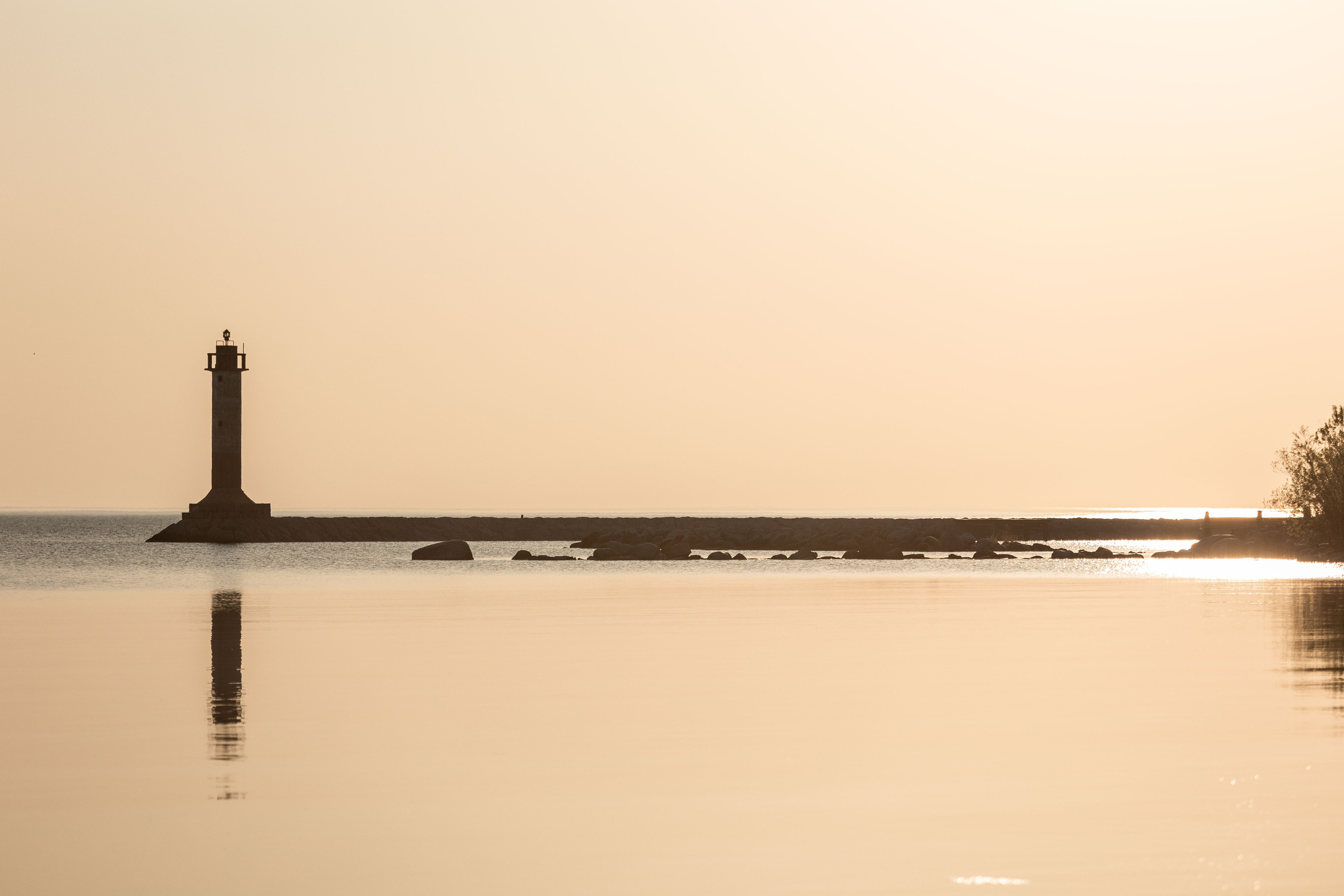 Марина и Чили. Фотограф — Анималист | Санкт-Петербург