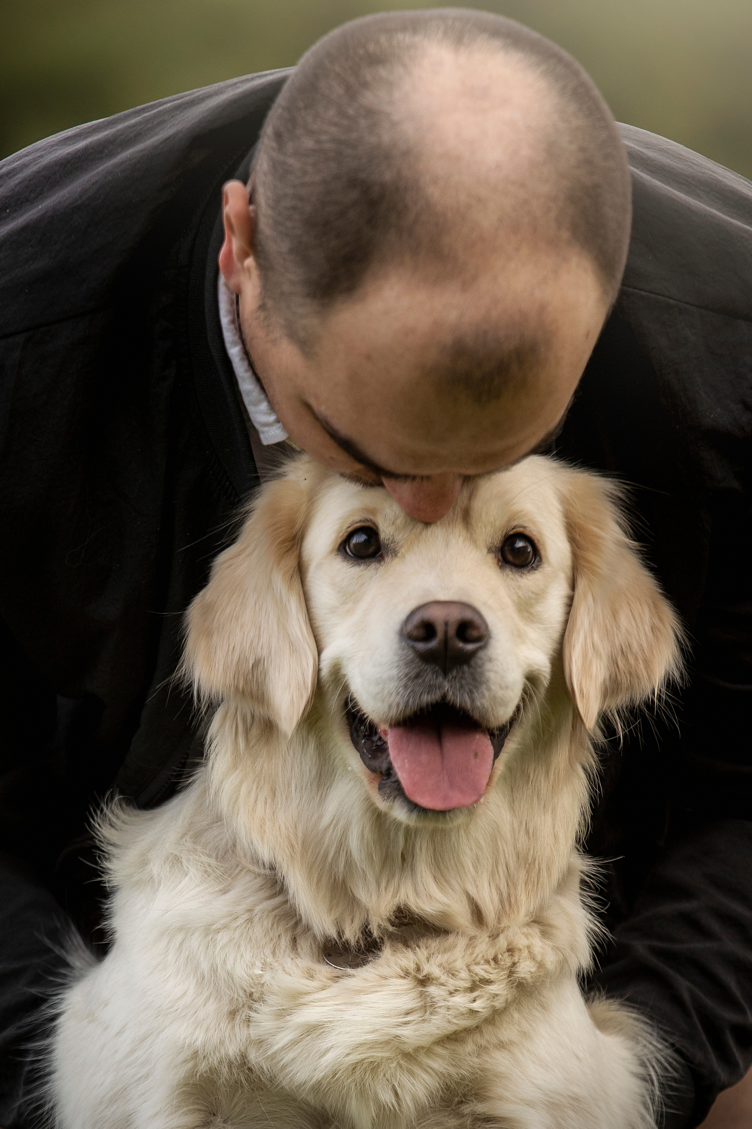 Молли и ее семья. Фотограф — Анималист | Санкт-Петербург
