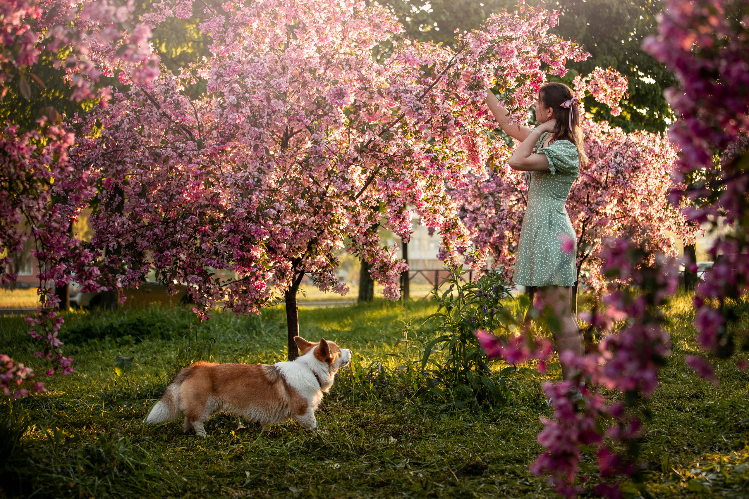 Юля и Лео. Фотограф — Анималист | Санкт-Петербург