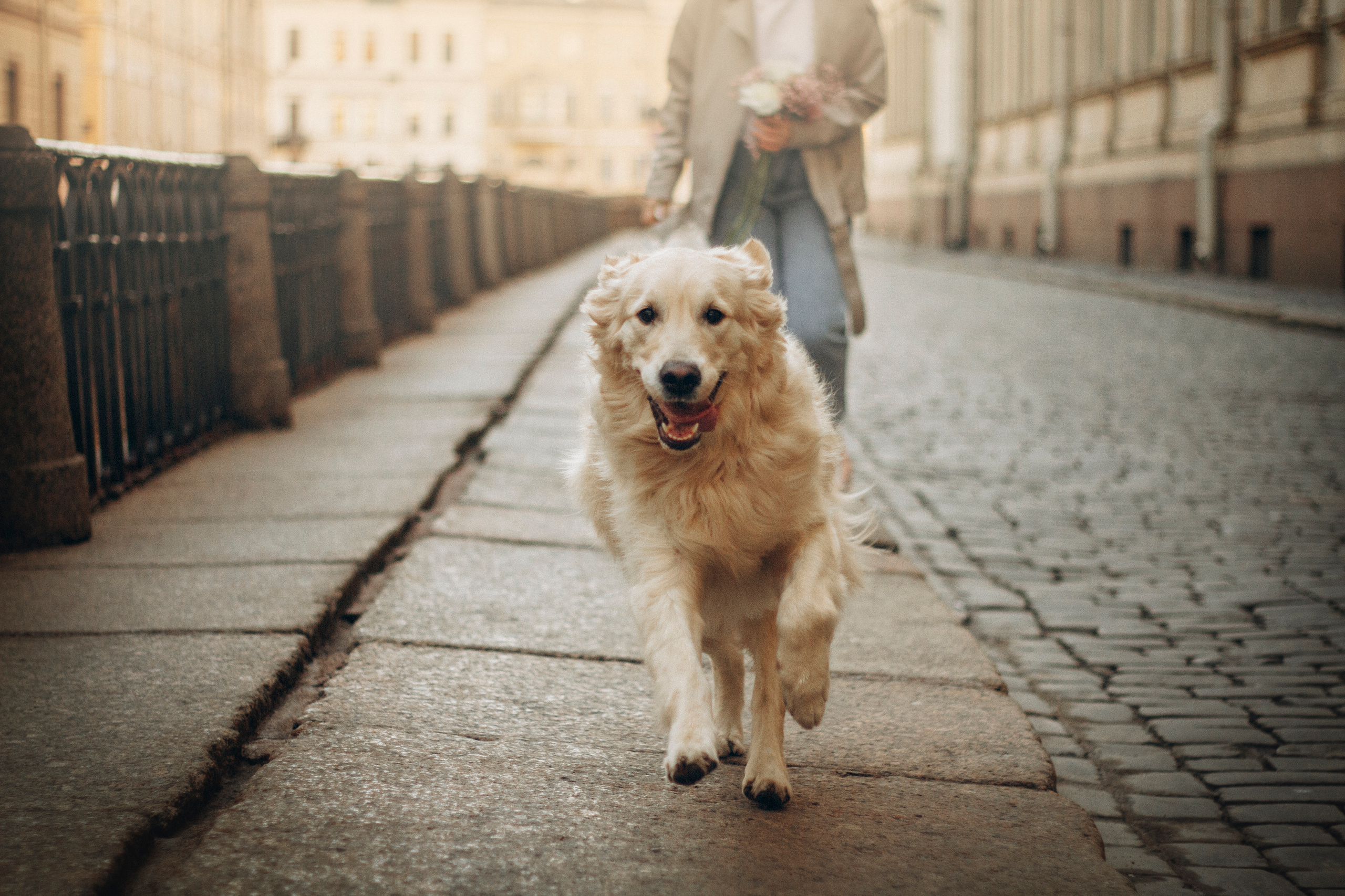 Настя и Марси. Фотограф — Анималист | Санкт-Петербург