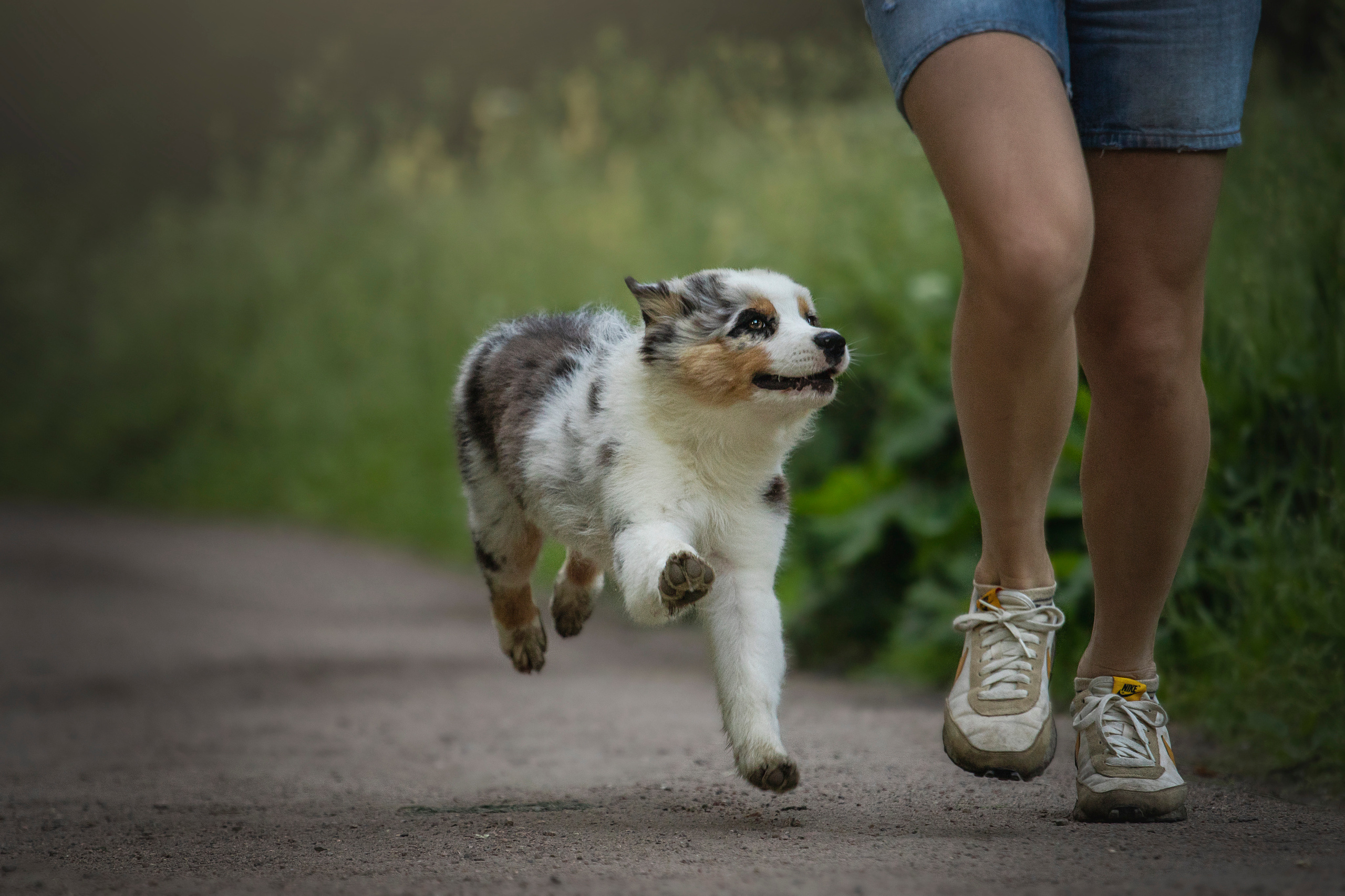 Ирина и Кайса. Фотограф — Анималист | Санкт-Петербург
