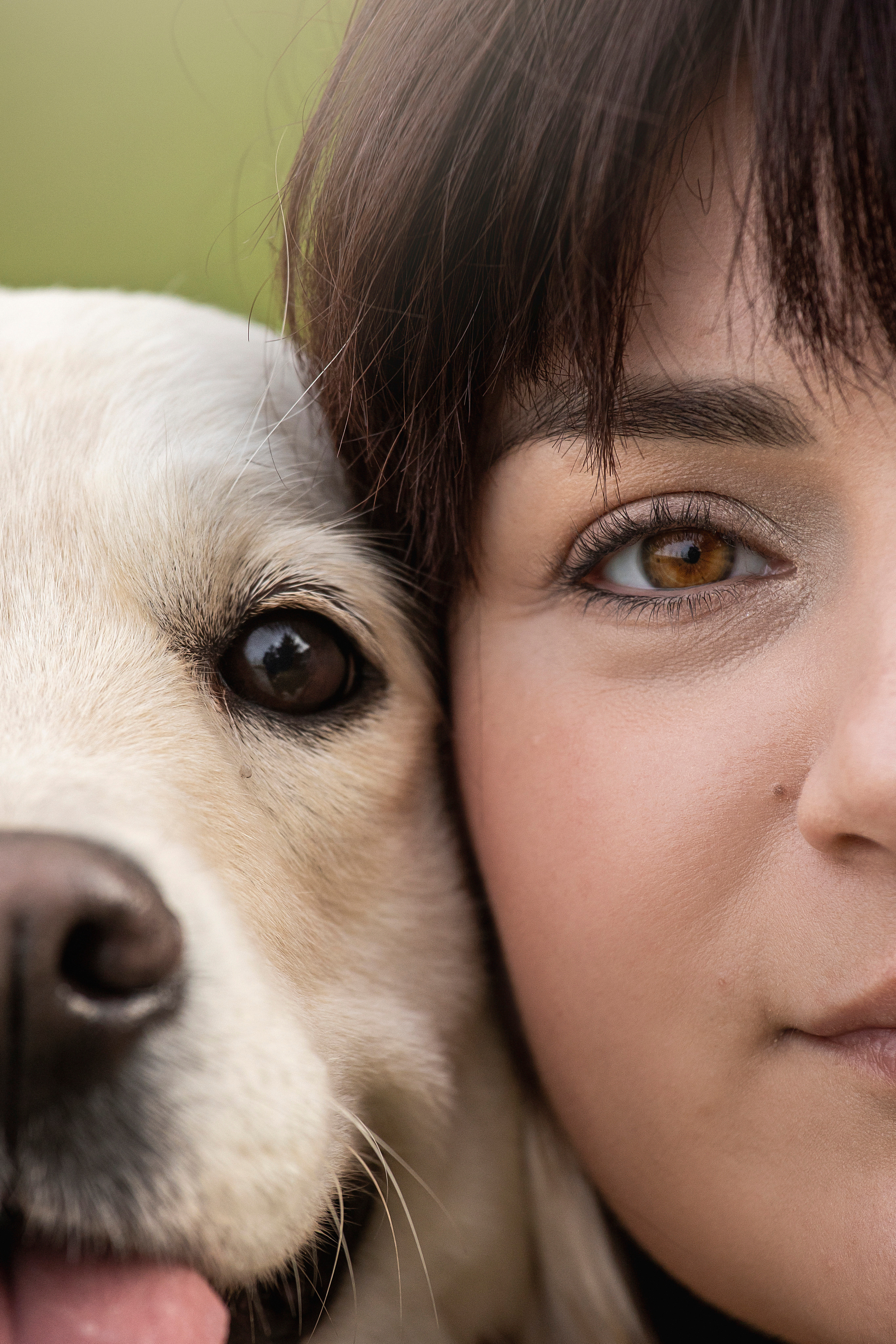 Молли и ее семья. Фотограф — Анималист | Санкт-Петербург