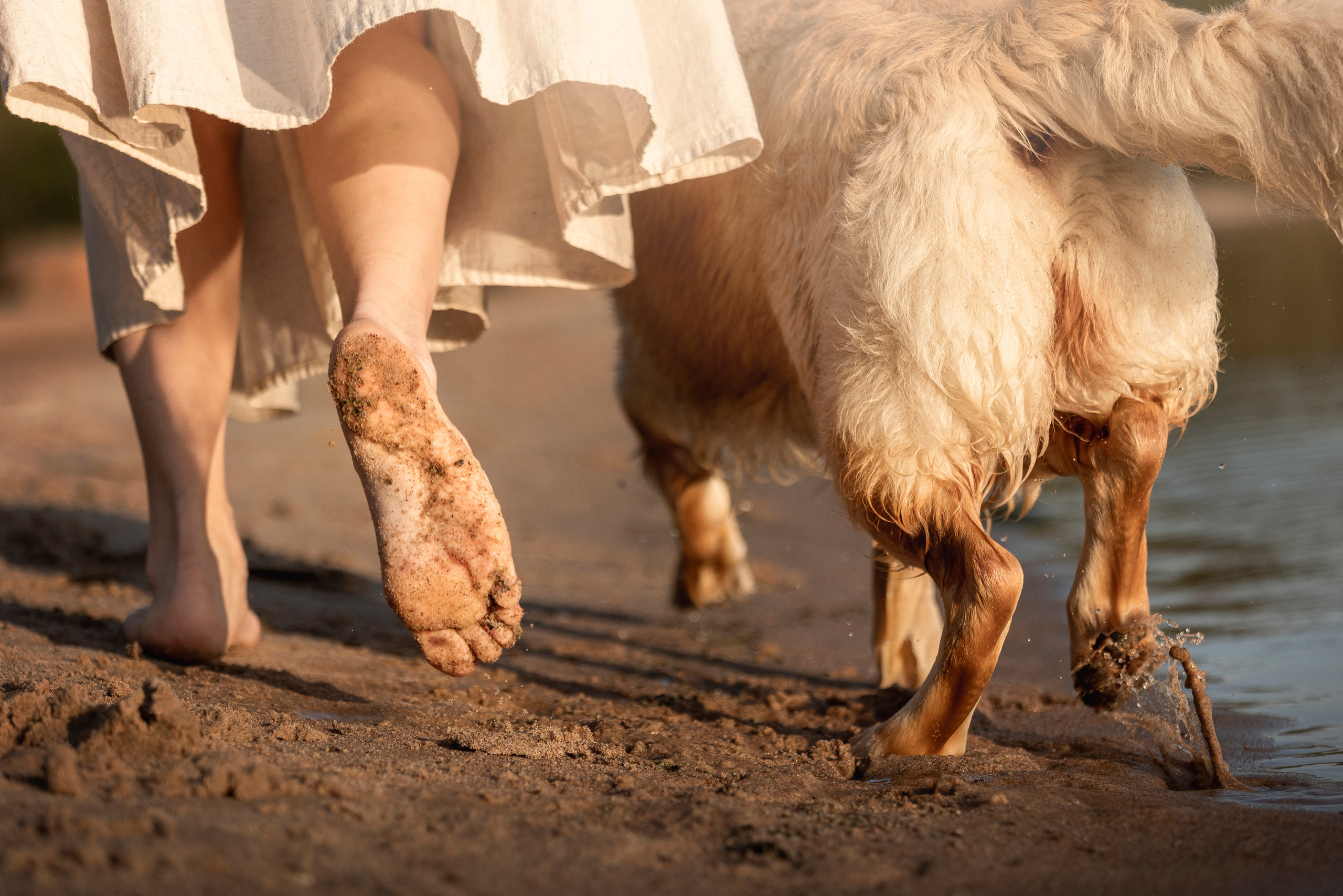 Марина и Чили. Фотограф — Анималист | Санкт-Петербург