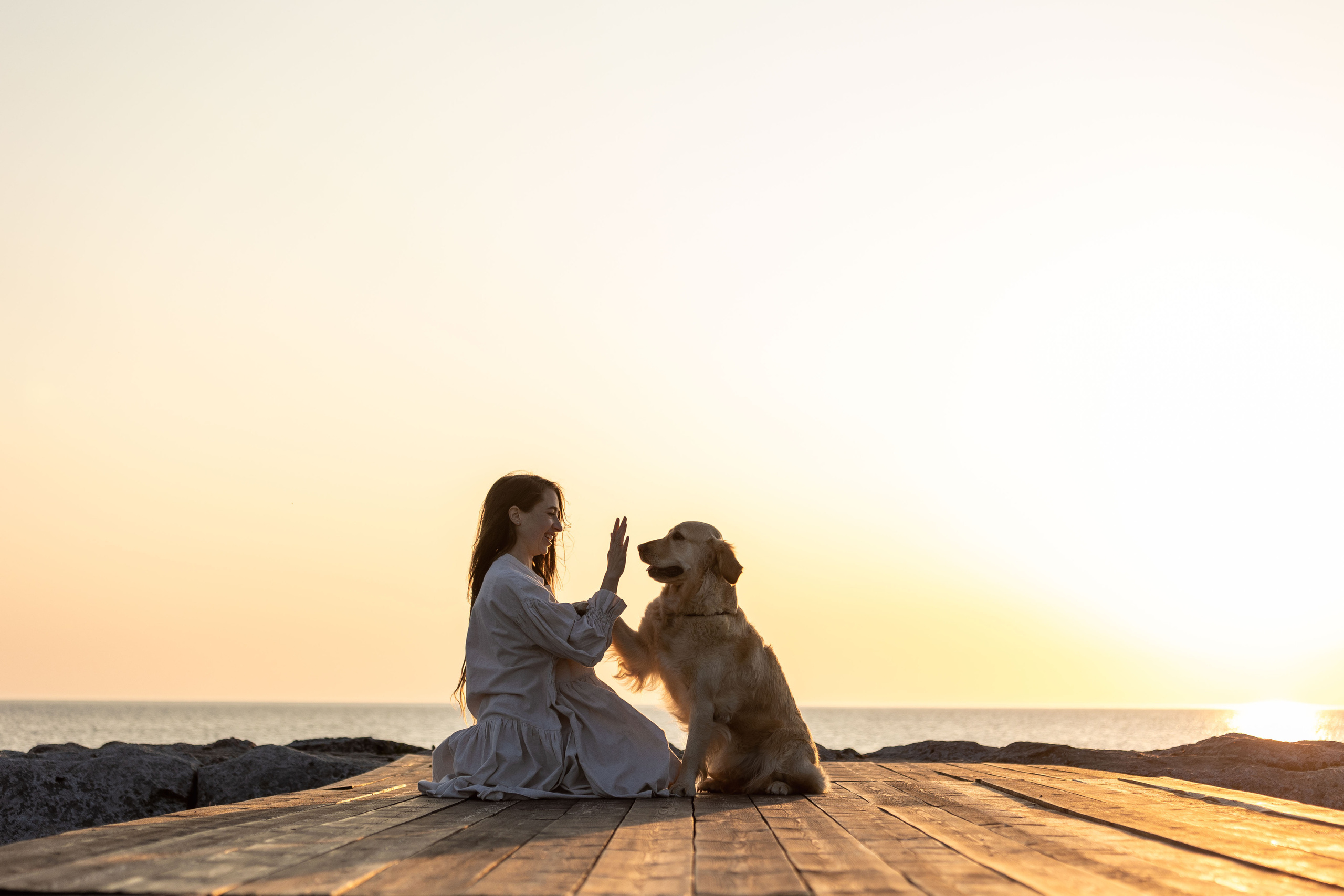 Марина и Чили. Фотограф — Анималист | Санкт-Петербург