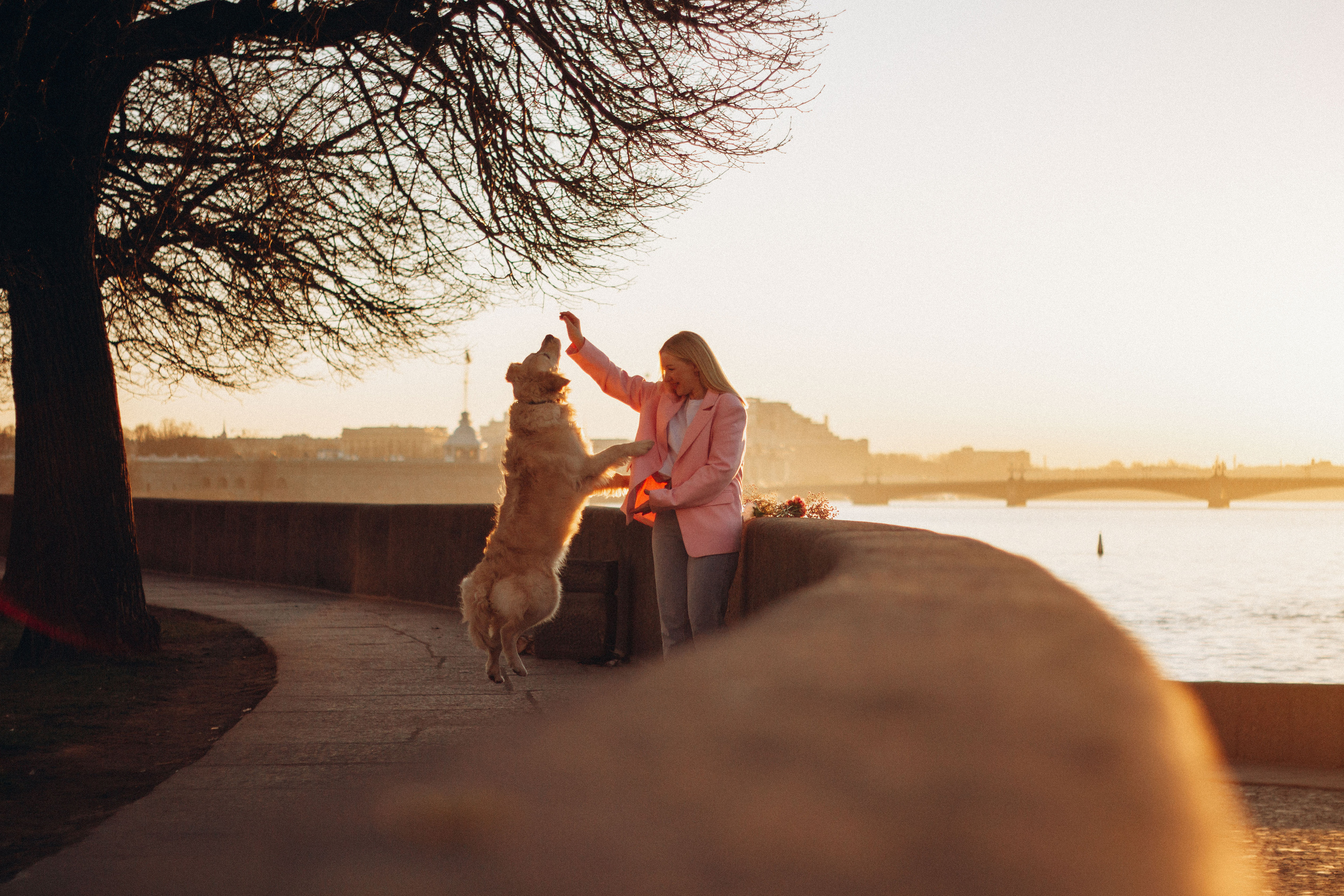 Настя и Марси. Фотограф — Анималист | Санкт-Петербург