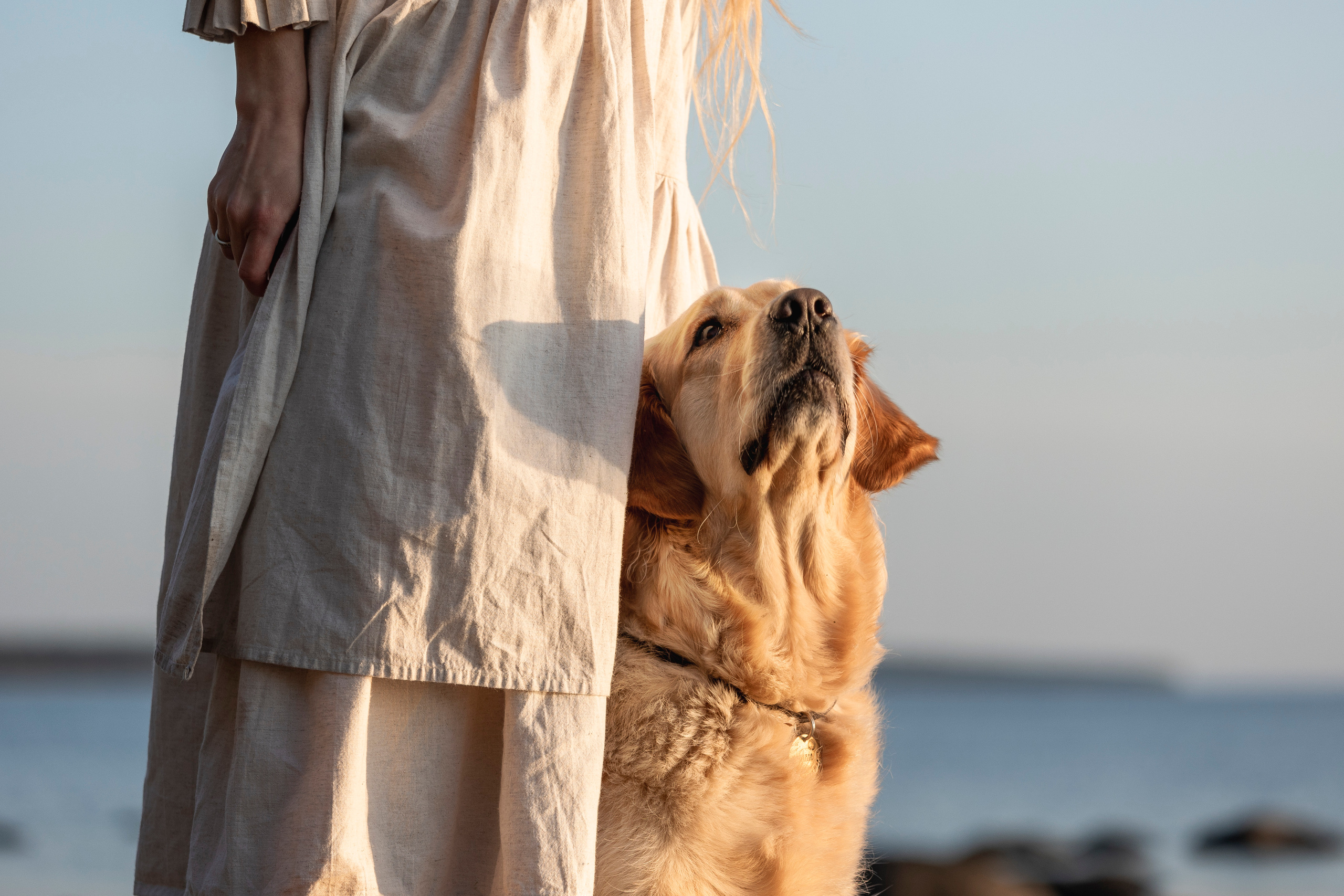 Марина и Чили. Фотограф — Анималист | Санкт-Петербург