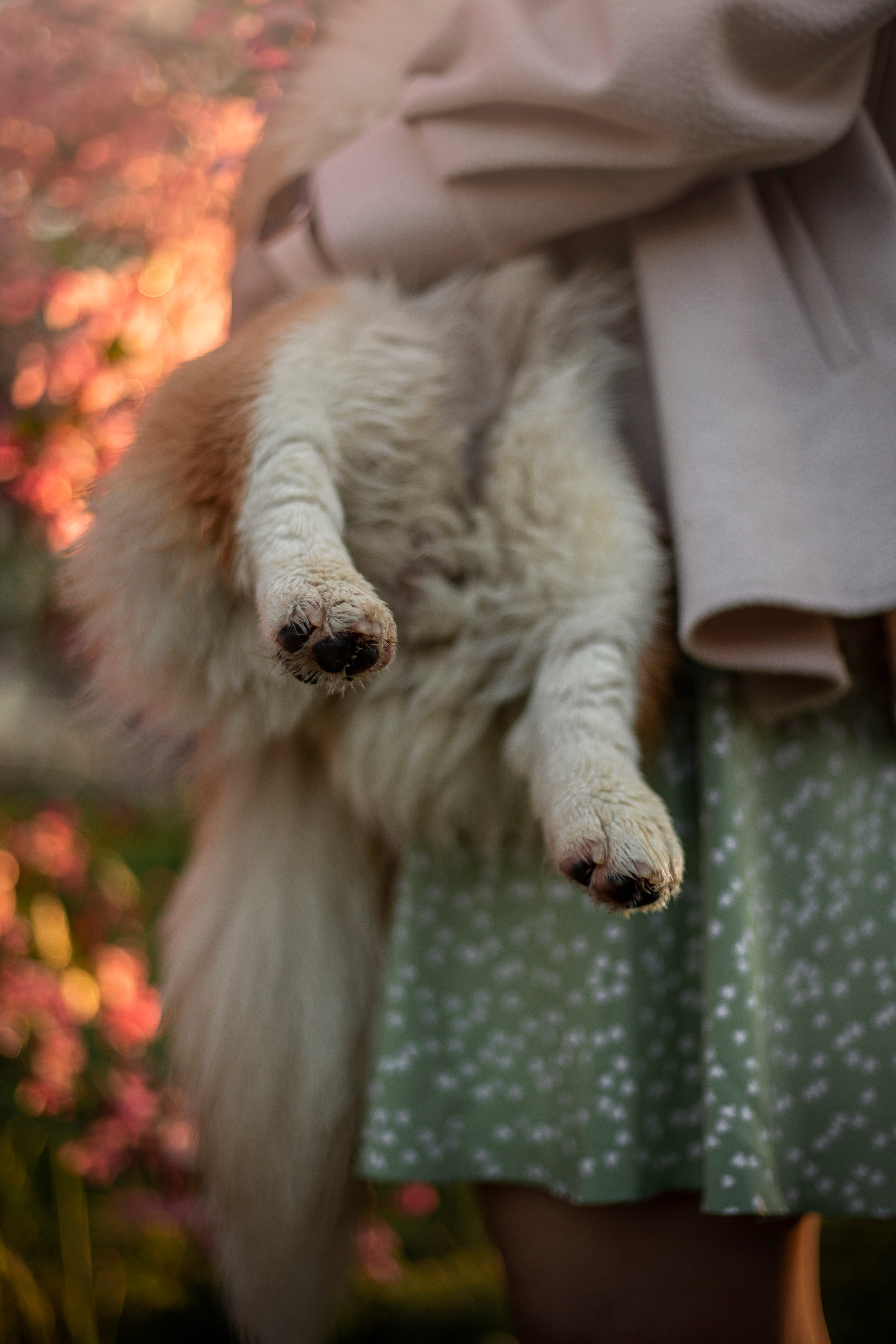 Юля и Лео. Фотограф — Анималист | Санкт-Петербург
