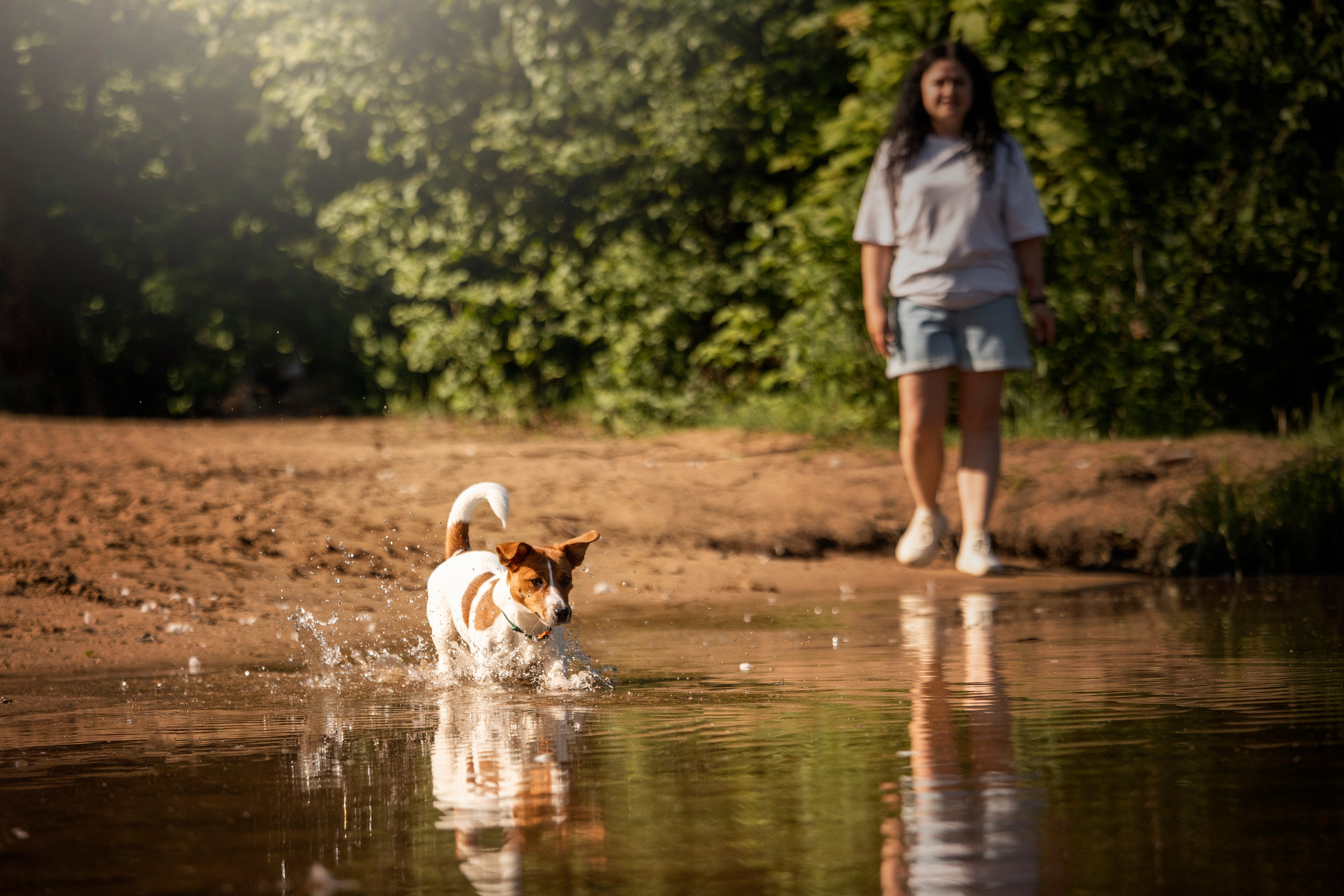 Наташа и Мерси. Фотограф — Анималист | Санкт-Петербург