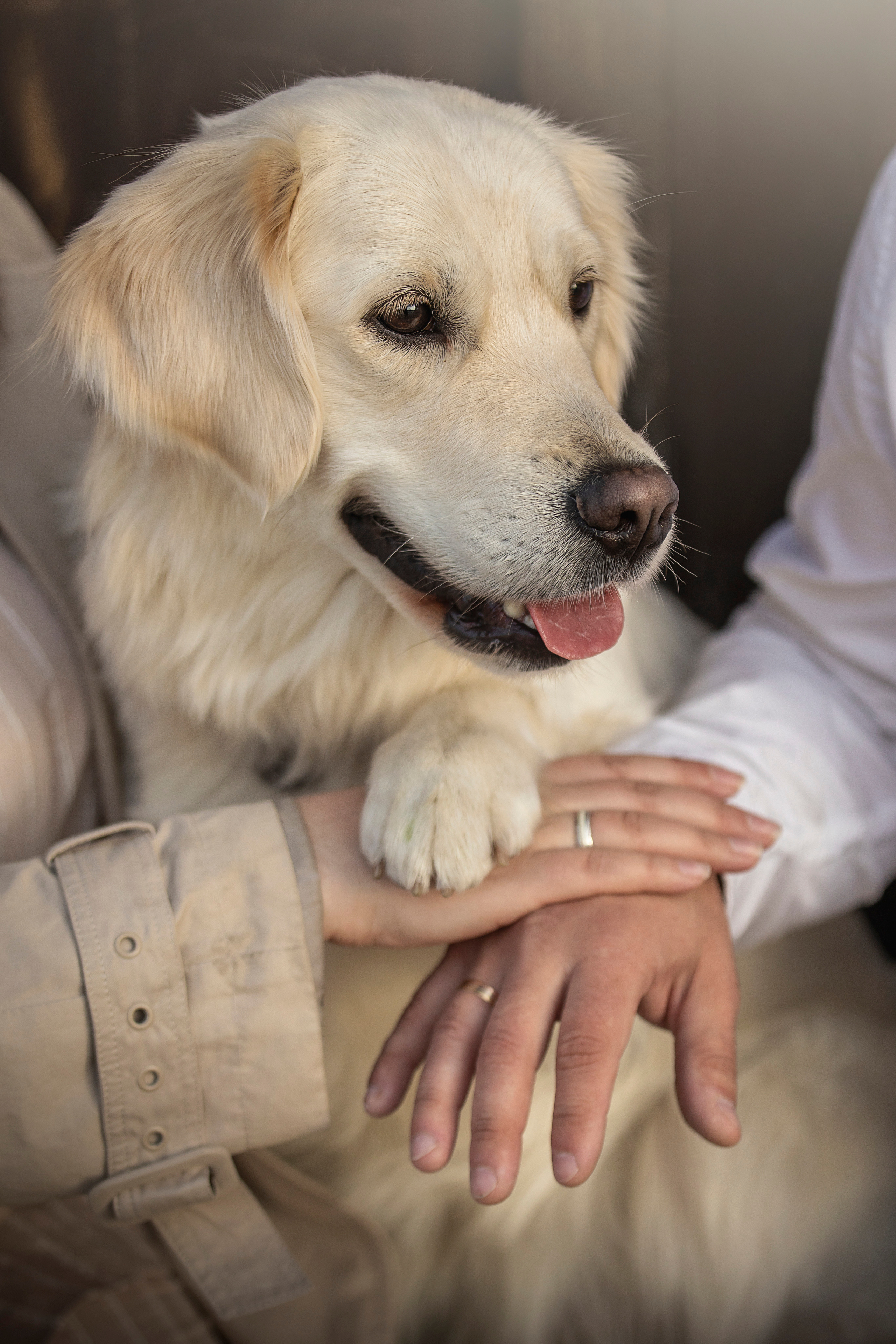Молли и ее семья. Фотограф — Анималист | Санкт-Петербург