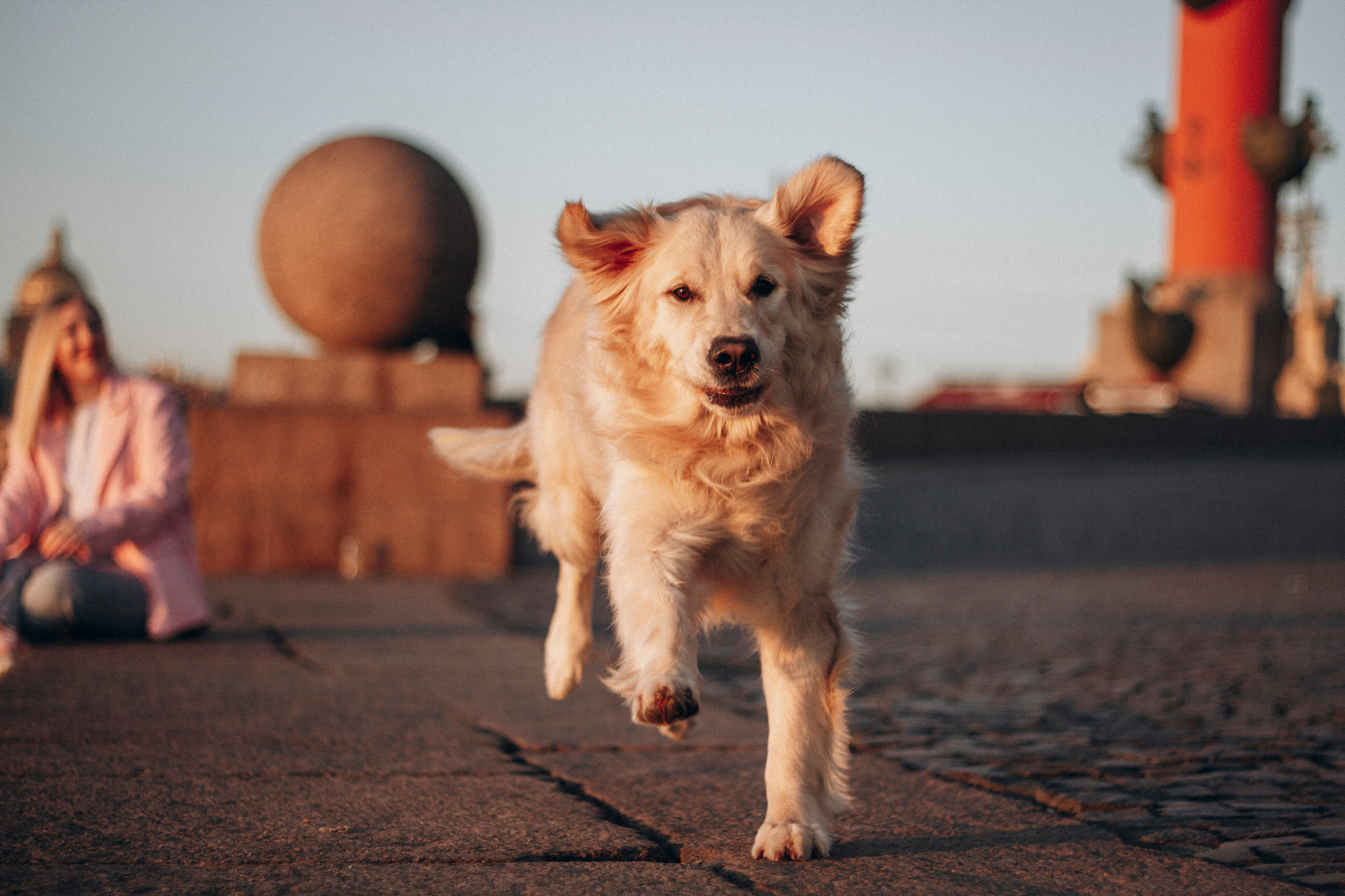Настя и Марси. Фотограф — Анималист | Санкт-Петербург